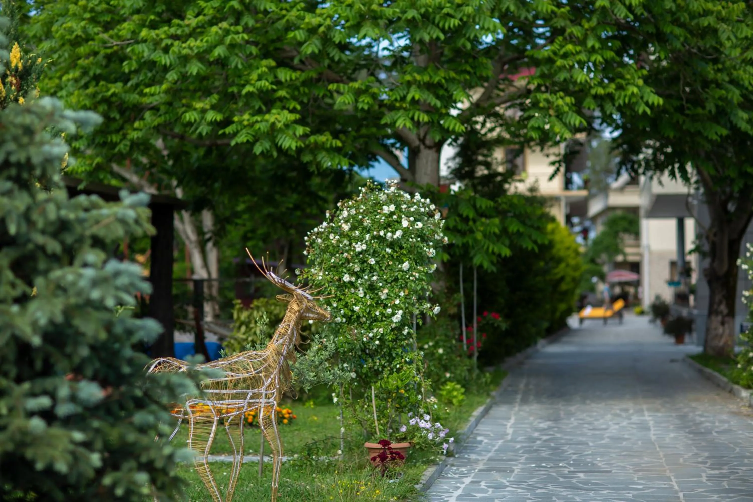 Area and facilities in Chveni Ezo Boutique Hotel