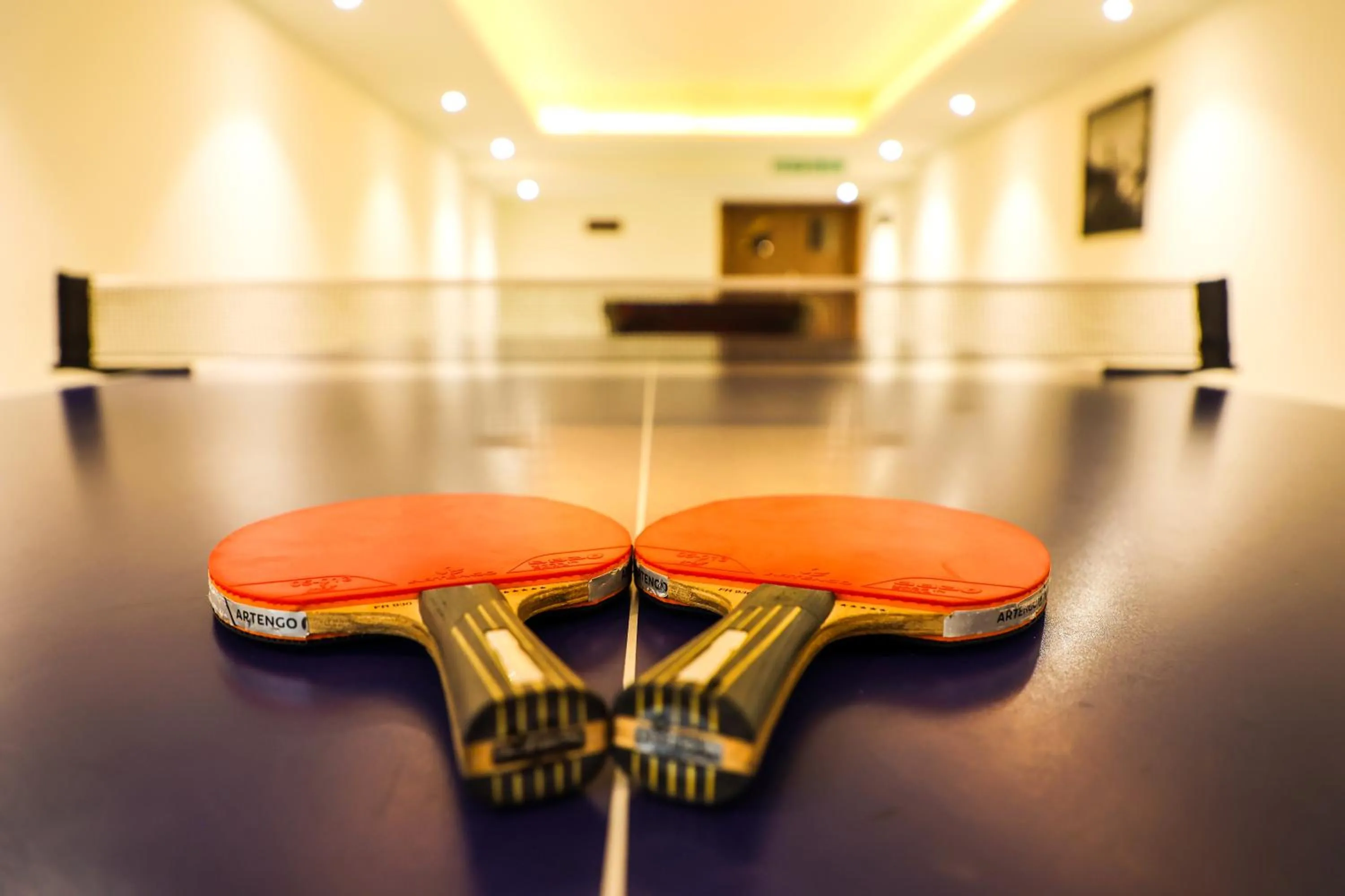 Game Room in Ramada Plaza by Wyndham Lucknow