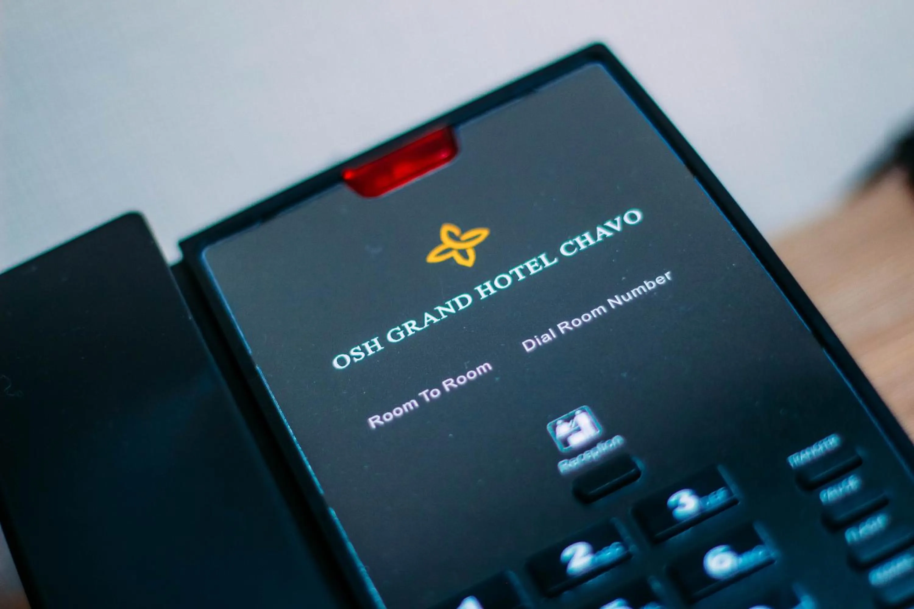 Decorative detail in Osh Grand Hotel Chavo