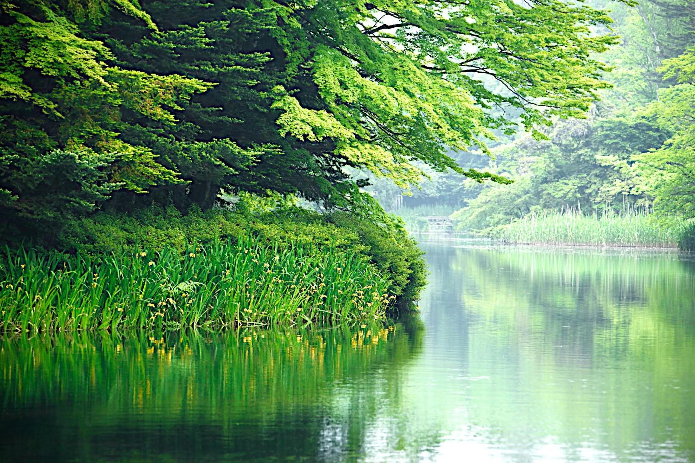 Nearby landmark in Tsuruya Ryokan