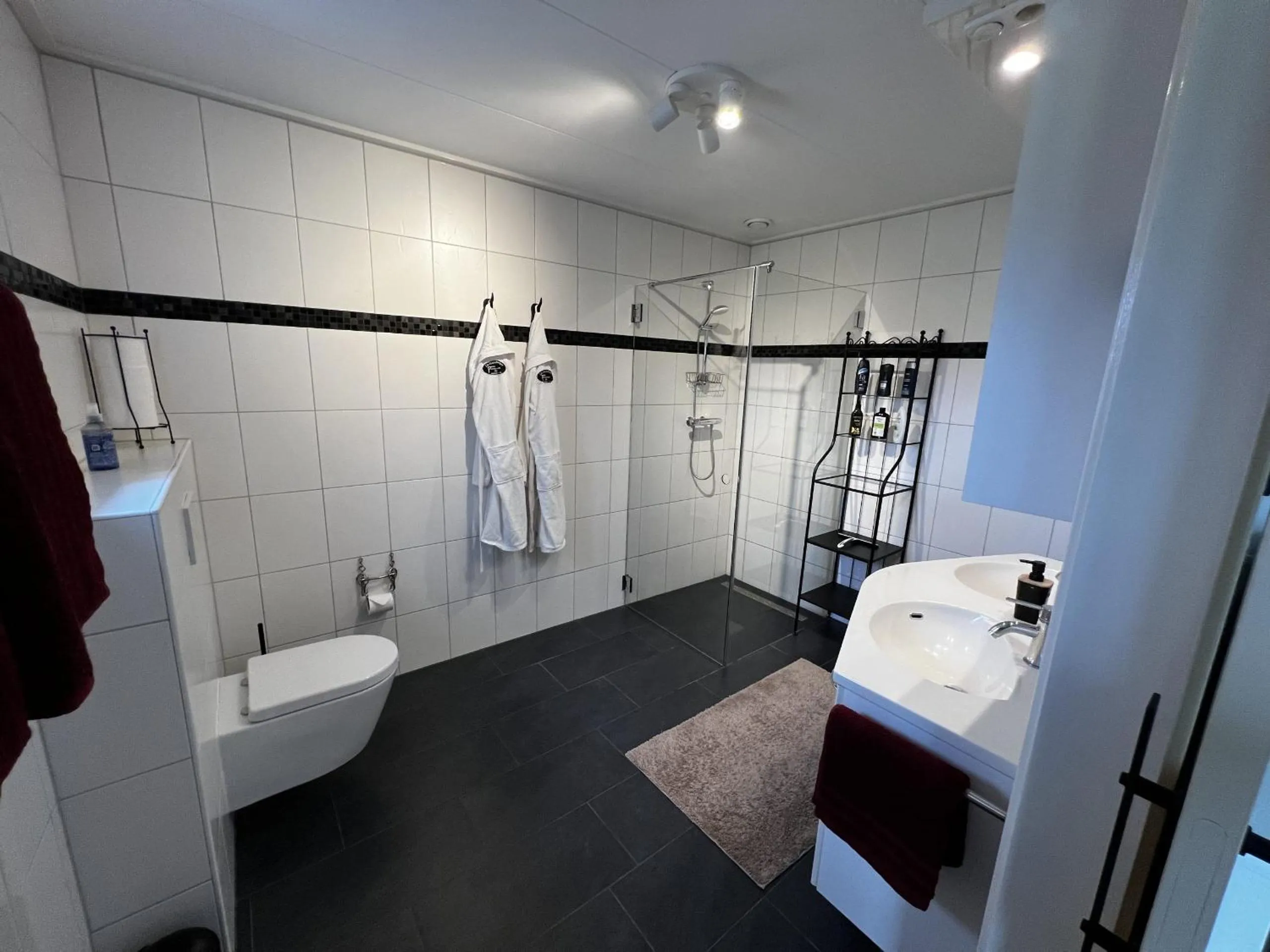 Shower in B&B De Handwijzer Hengelo