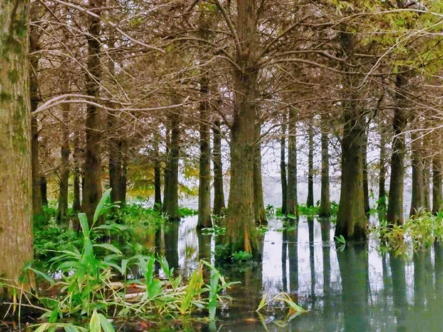 Nearby landmark in Blue Owl-Hualien No 2396-2397-2398-2399