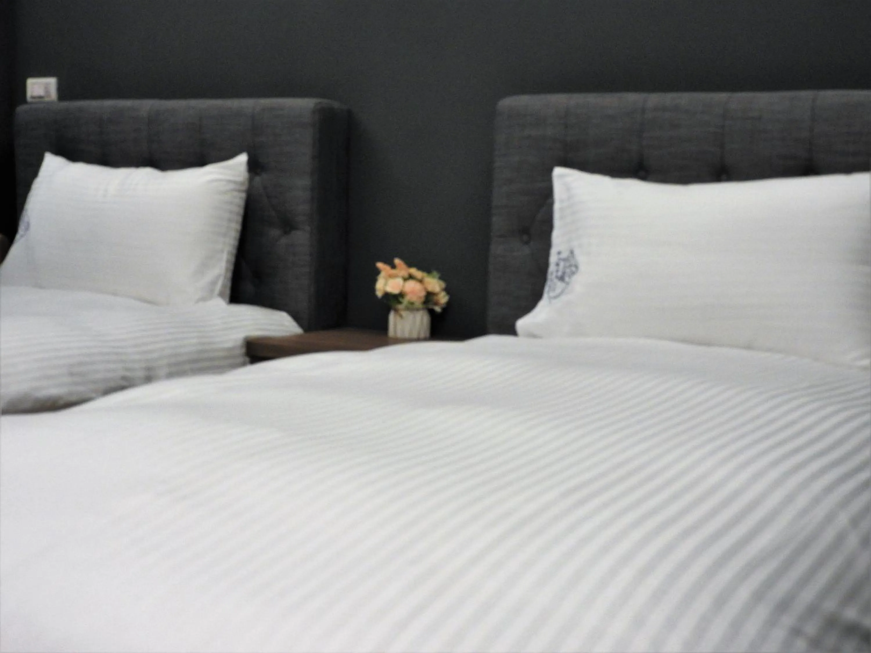 Bed in Blue Owl-Hualien No 2396-2397-2398-2399