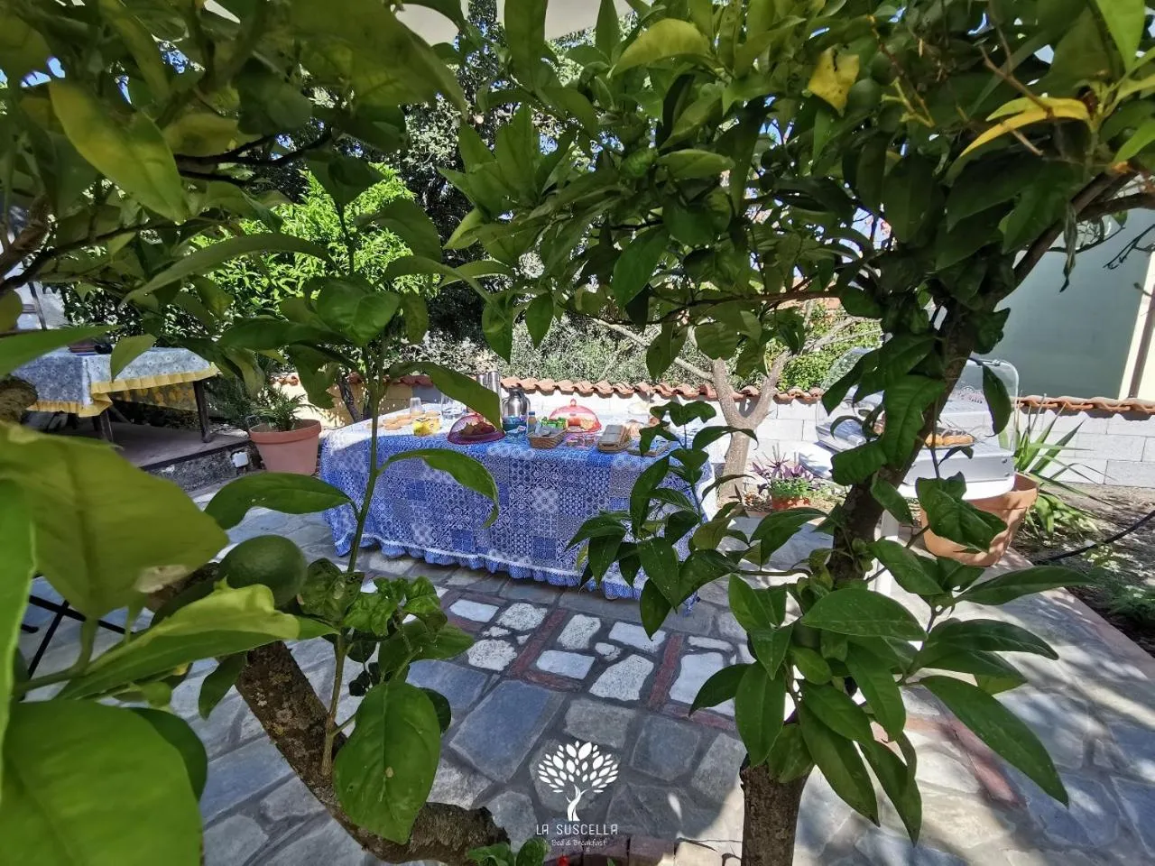 Buffet breakfast in La Suscella Bed & Breakfast