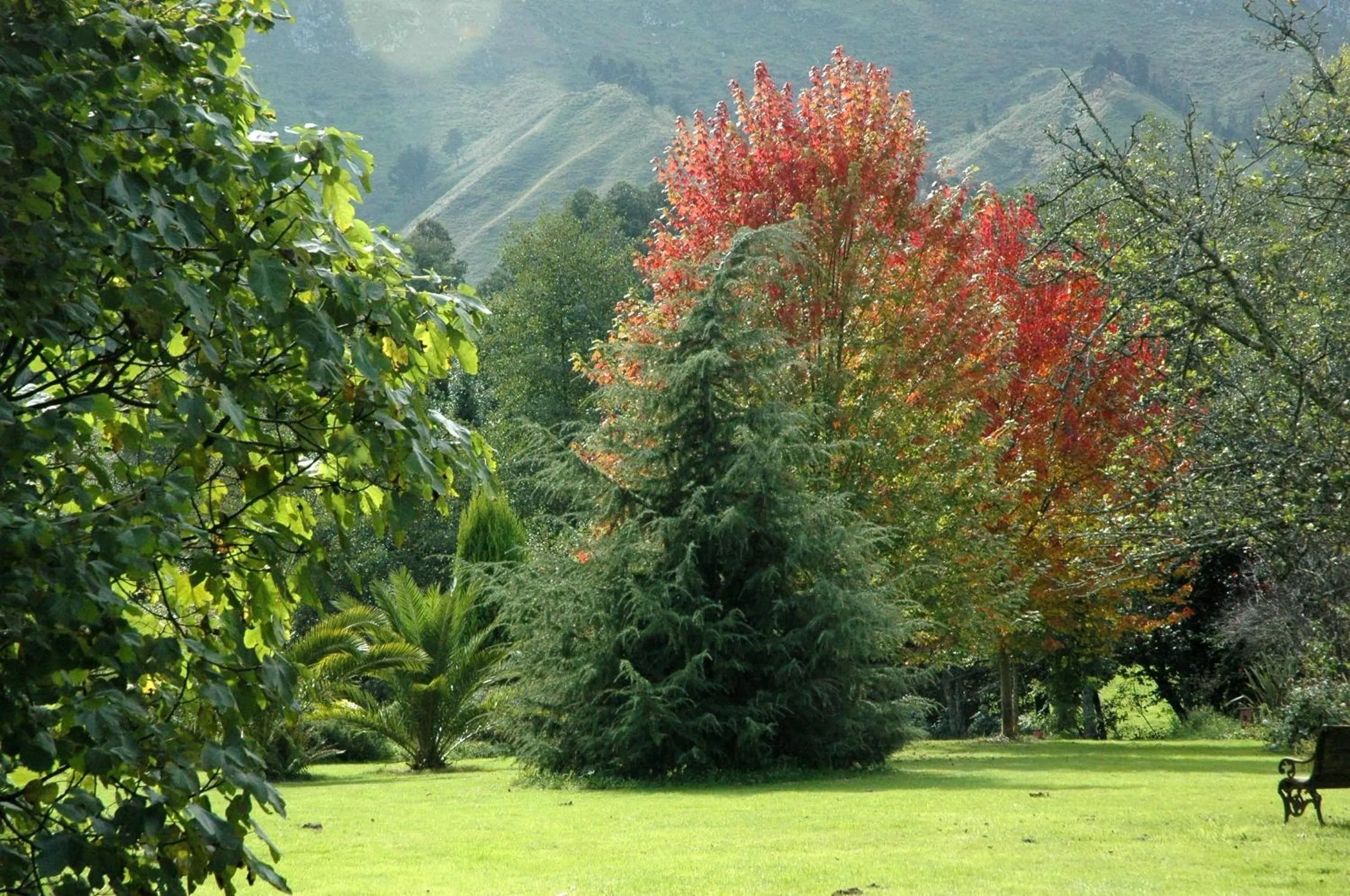 Garden in El Habana Llanes