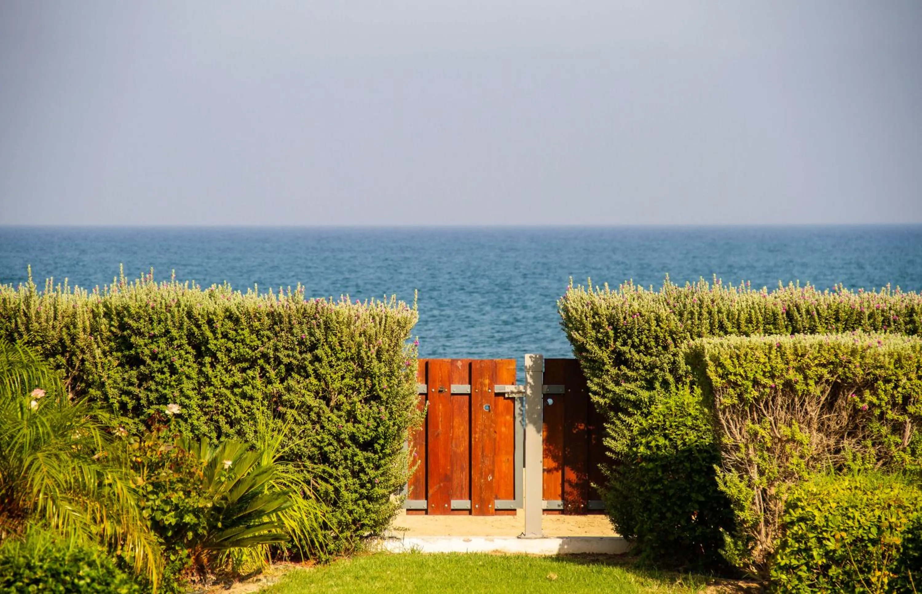 Natural landscape in Atlantis Gardens