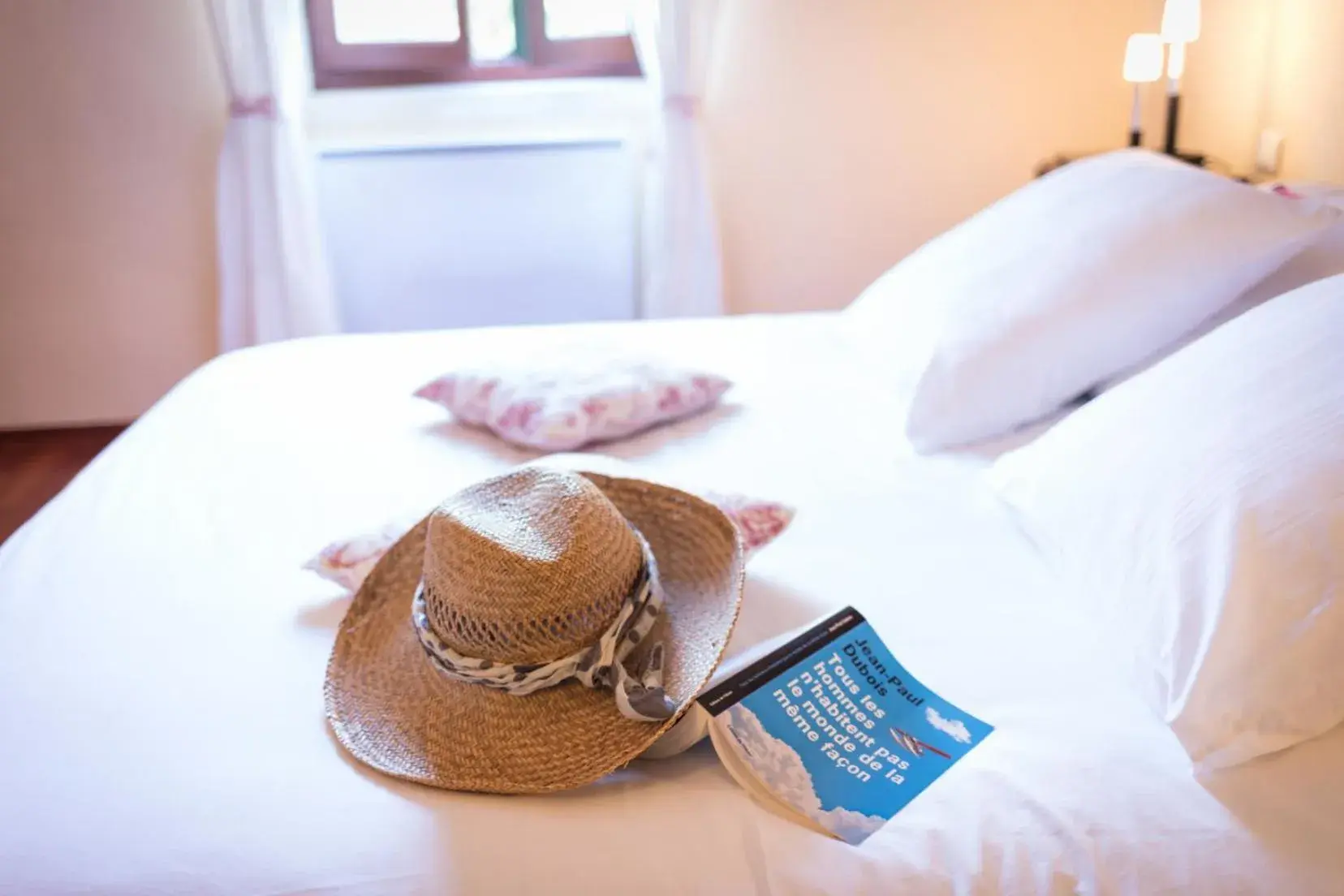 Double Room with Private Bathroom in Le Mas des Sages Double Room with Private Bathroom in Le Mas des Sages