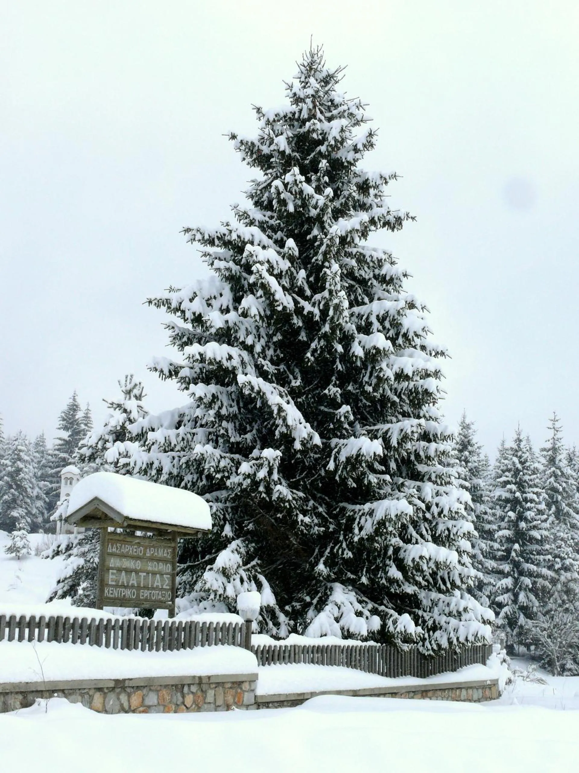 Natural landscape in Petrini Gonia