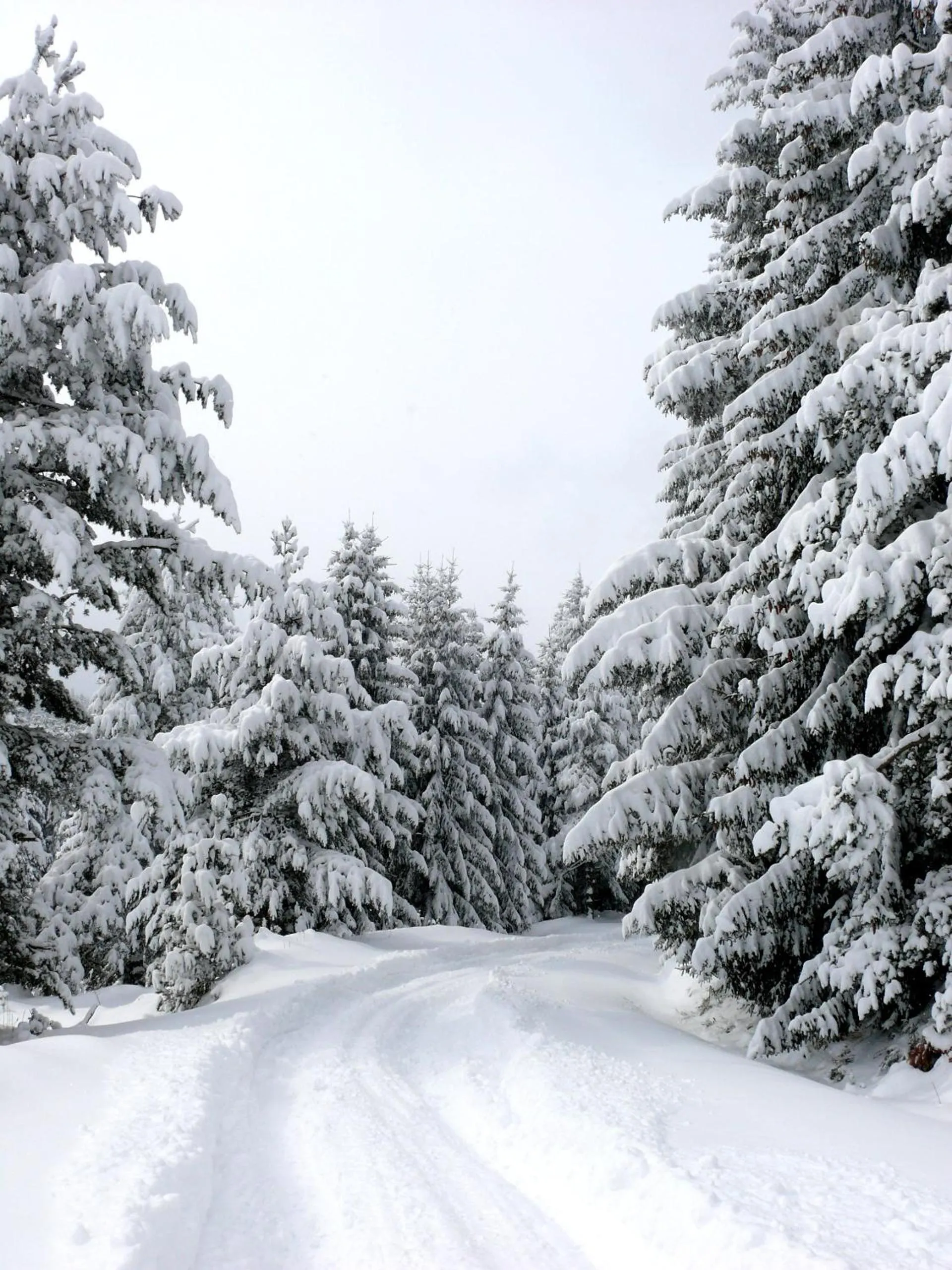 Natural landscape in Petrini Gonia
