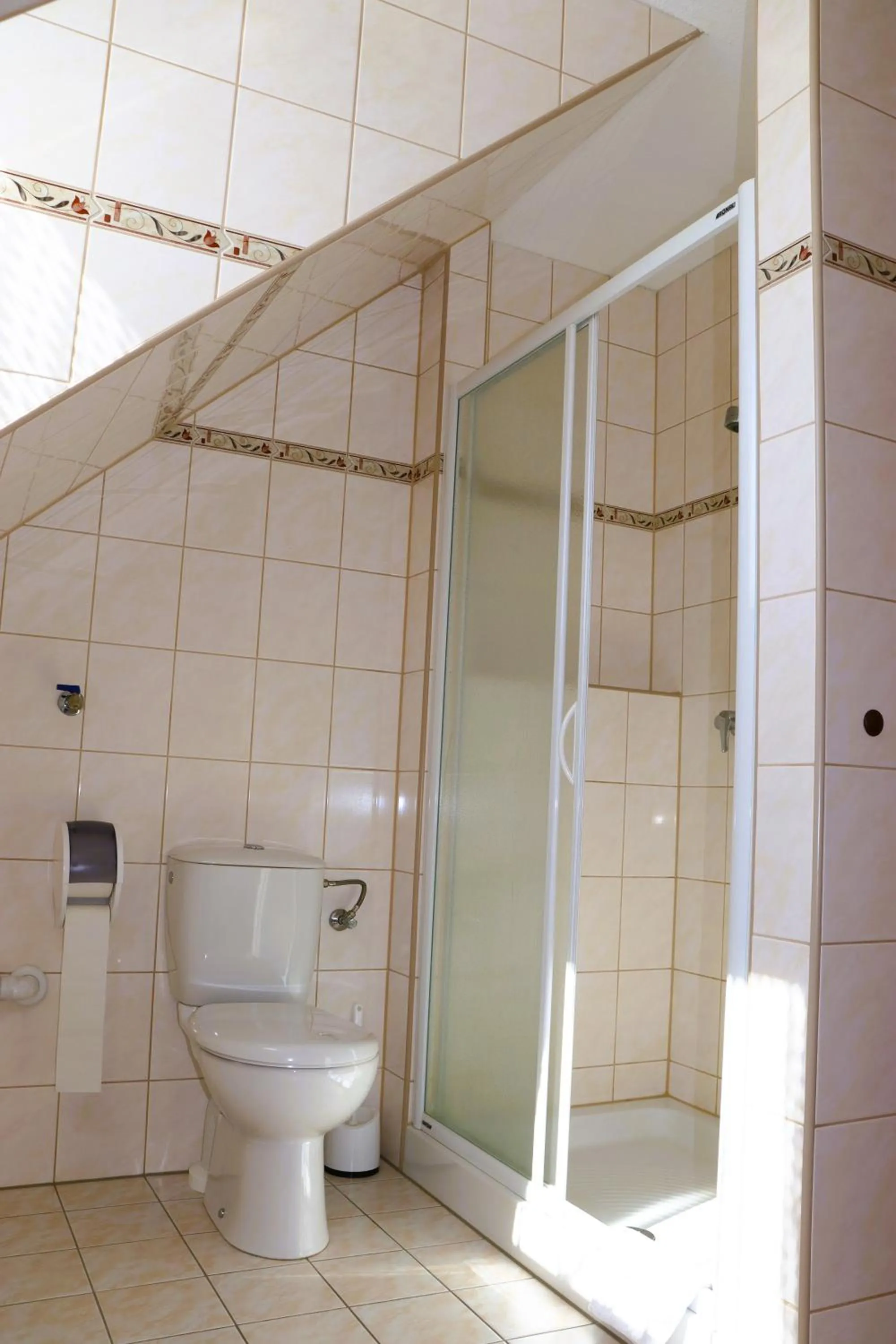 Bathroom in Schwarzes Ross Hotel & Restaurant Oberwiesenthal