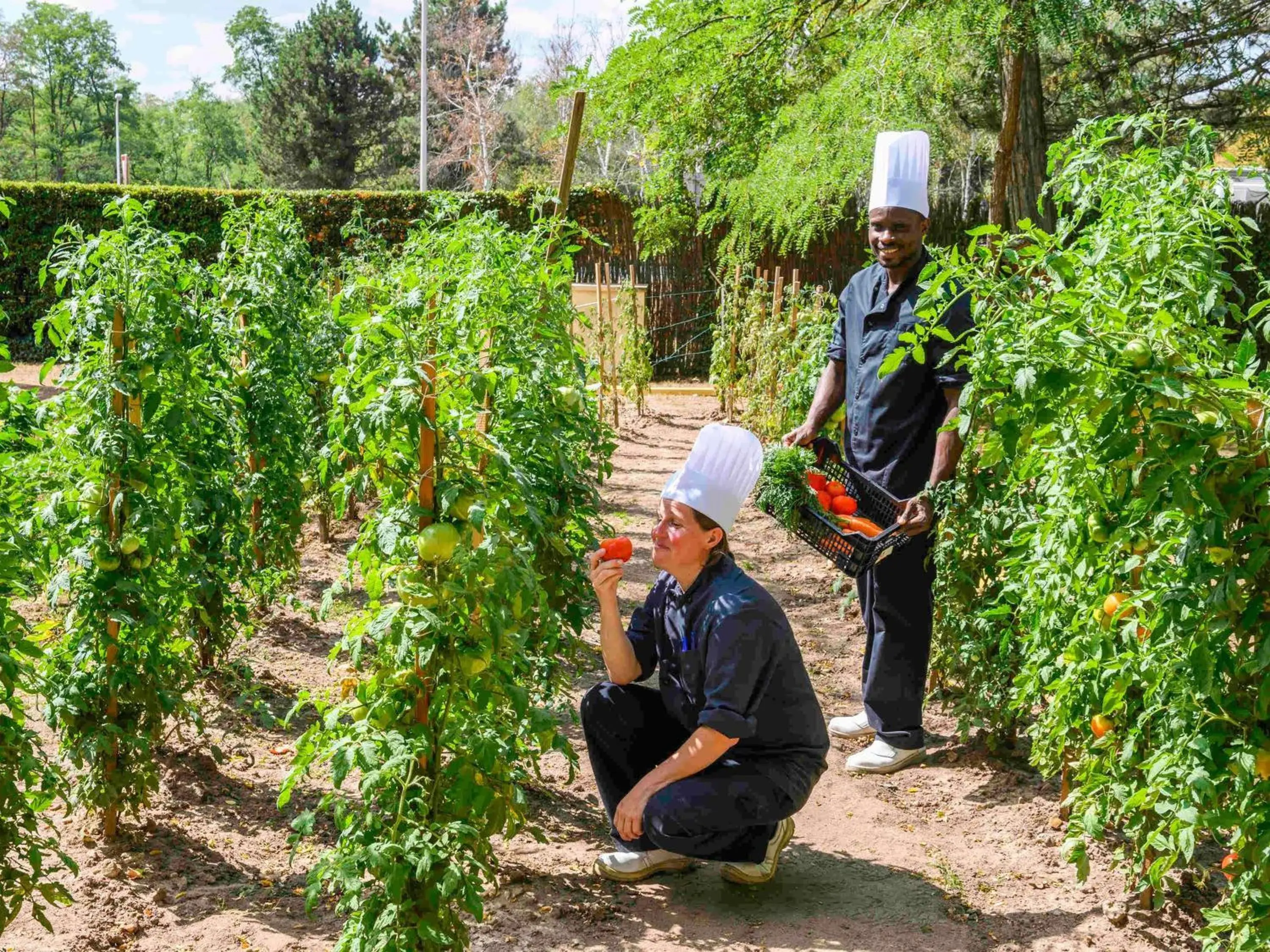 Restaurant/places to eat in Novotel Orléans Sud La Source Restaurant/places to eat in Novotel Orléans Sud La Source