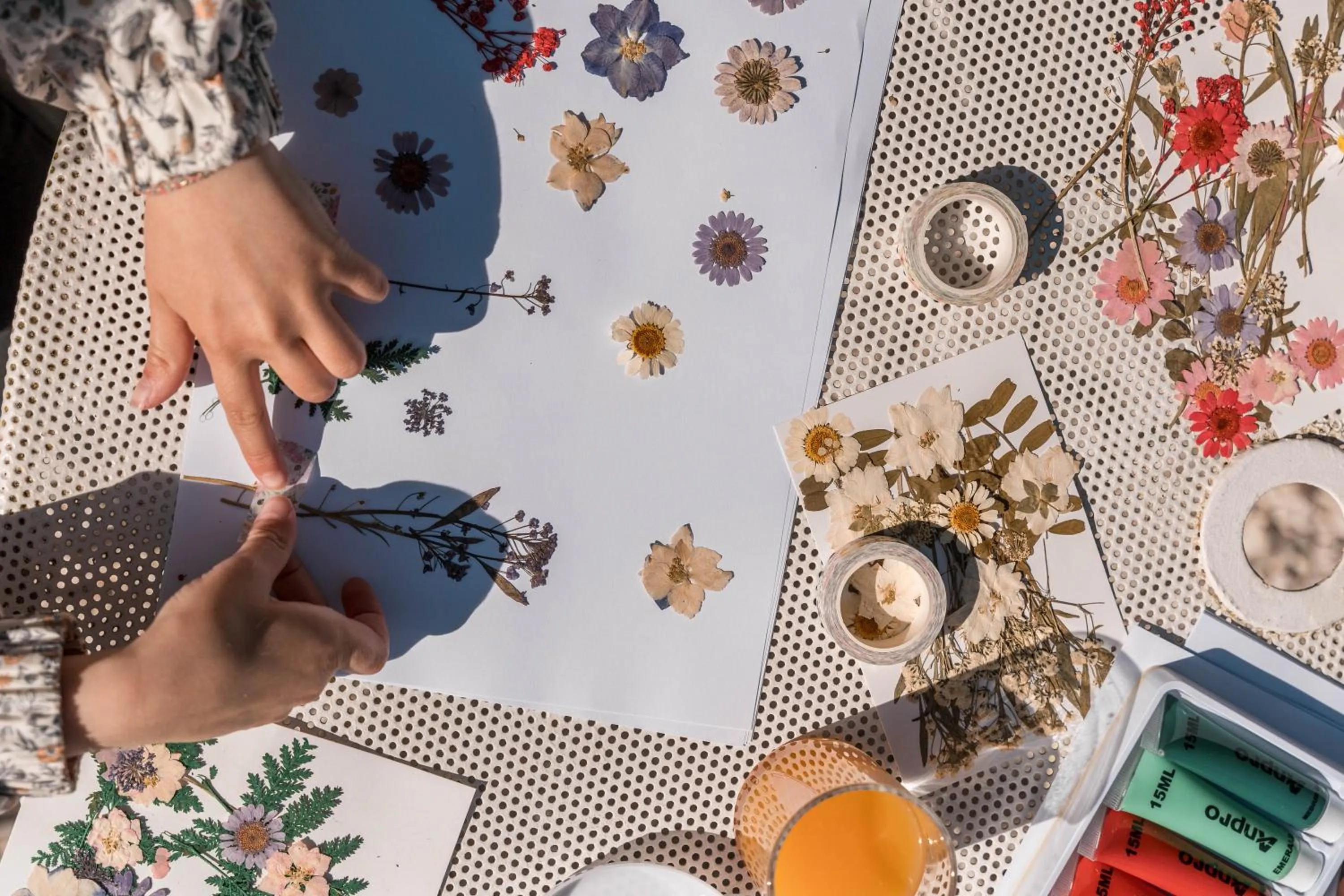 Activities in Novotel Orléans Chemins De Sologne Demeures De Campagne