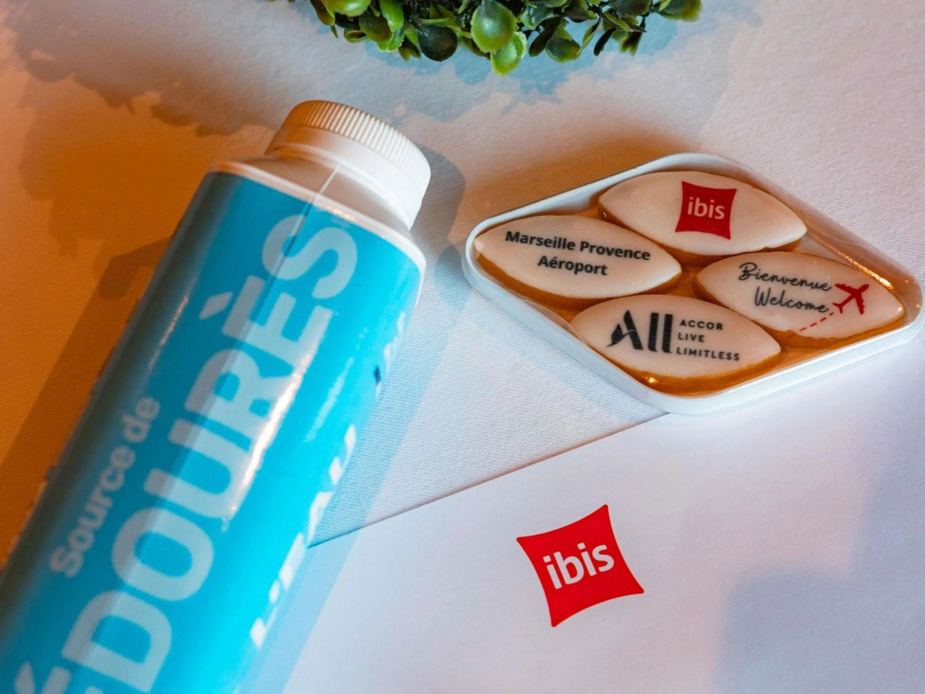 Other in ibis Marseille Provence Aéroport