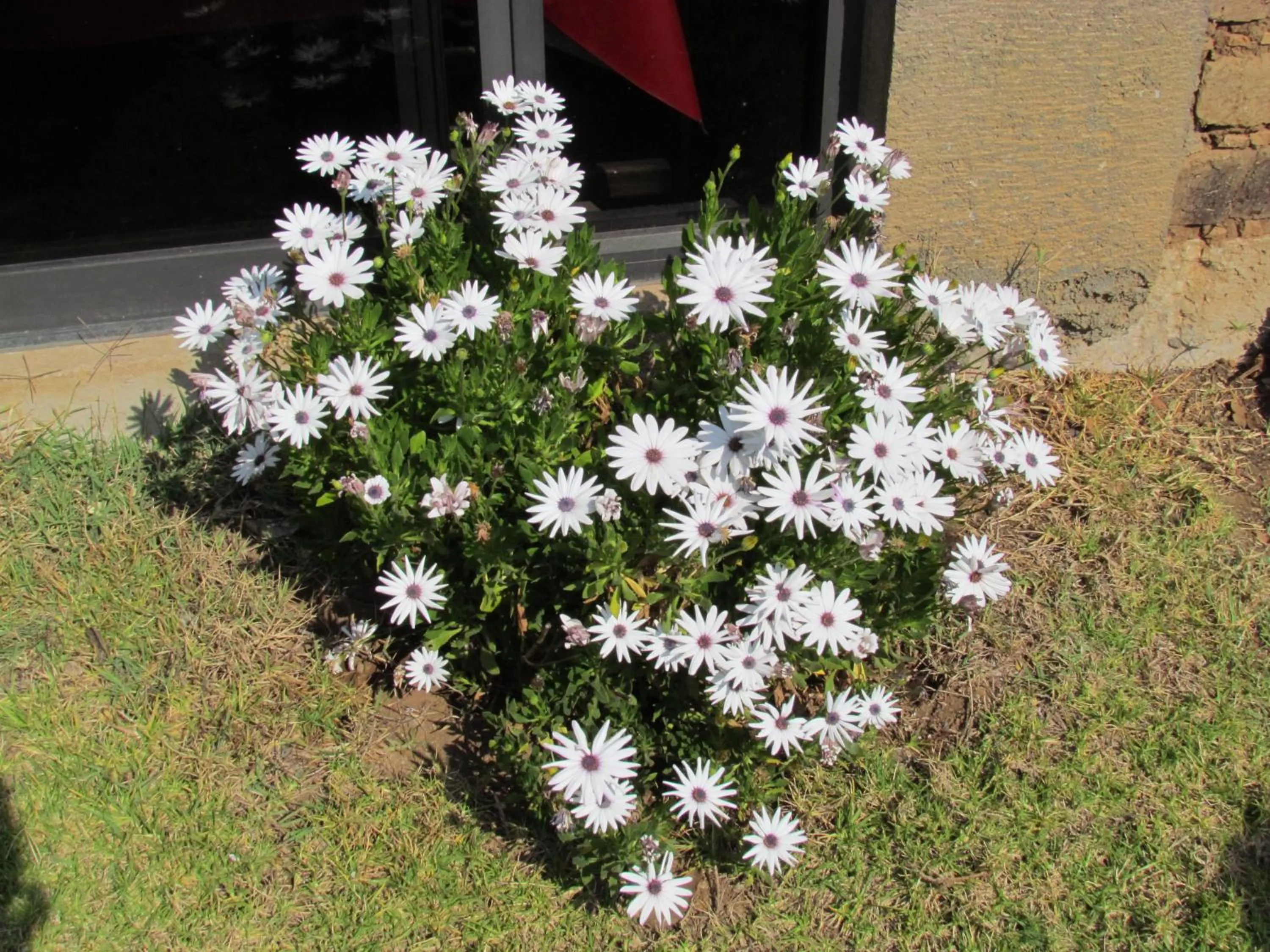 Hotel y Cabañas una Cosita de Zacatlán