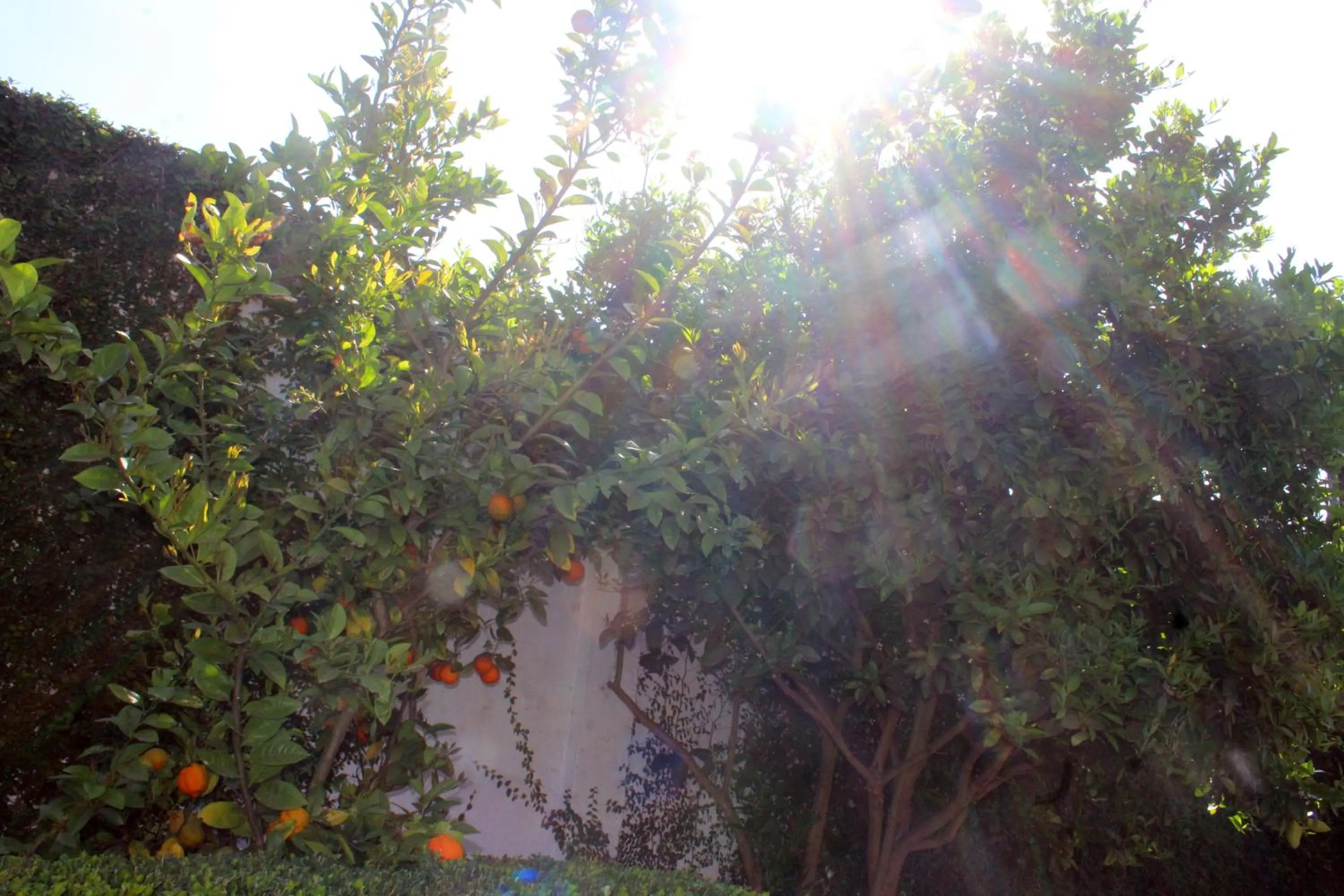 Hotel y Cabañas una Cosita de Zacatlán