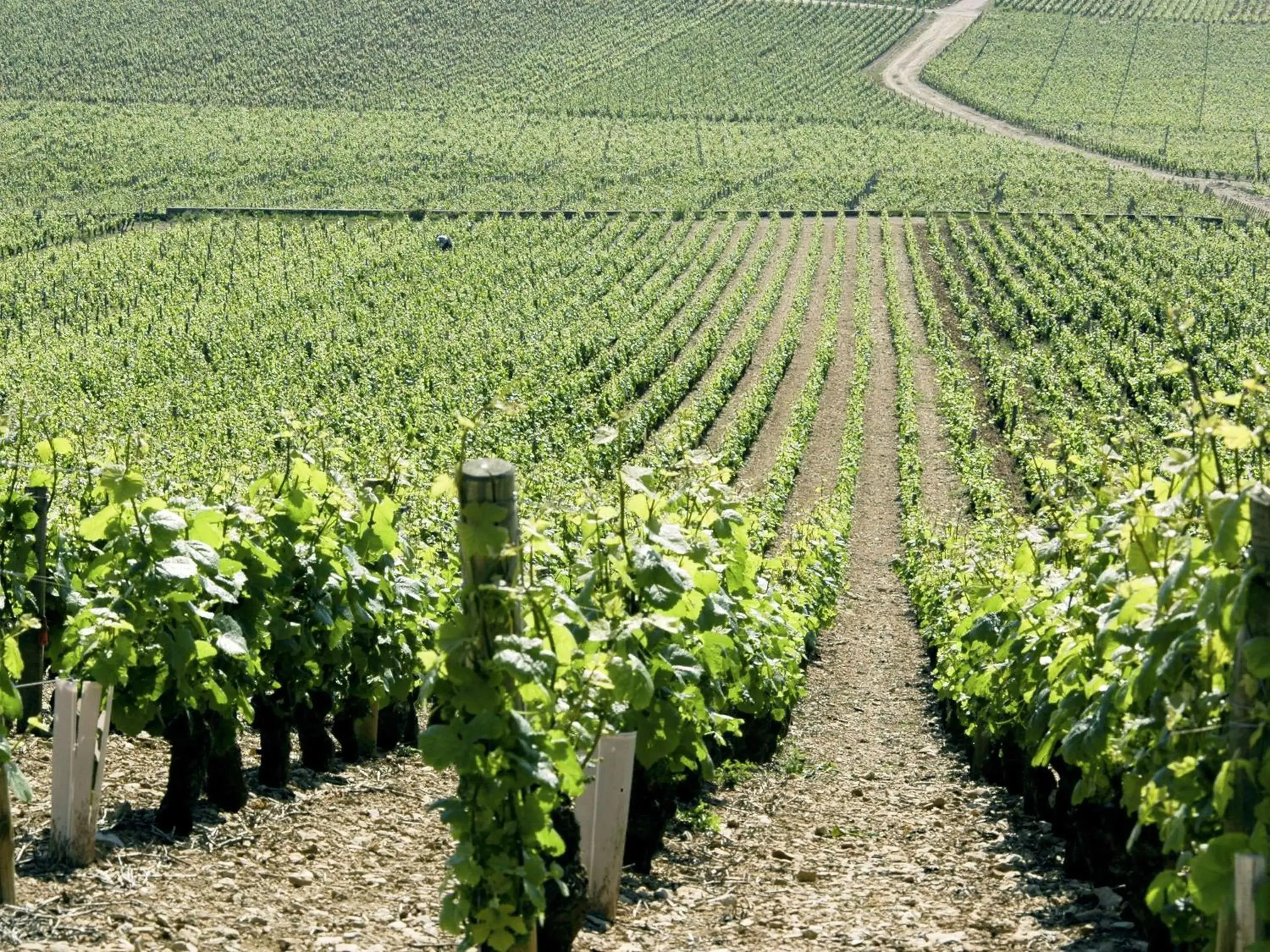 Property building in Novotel Dijon Sud Property building in Novotel Dijon Sud