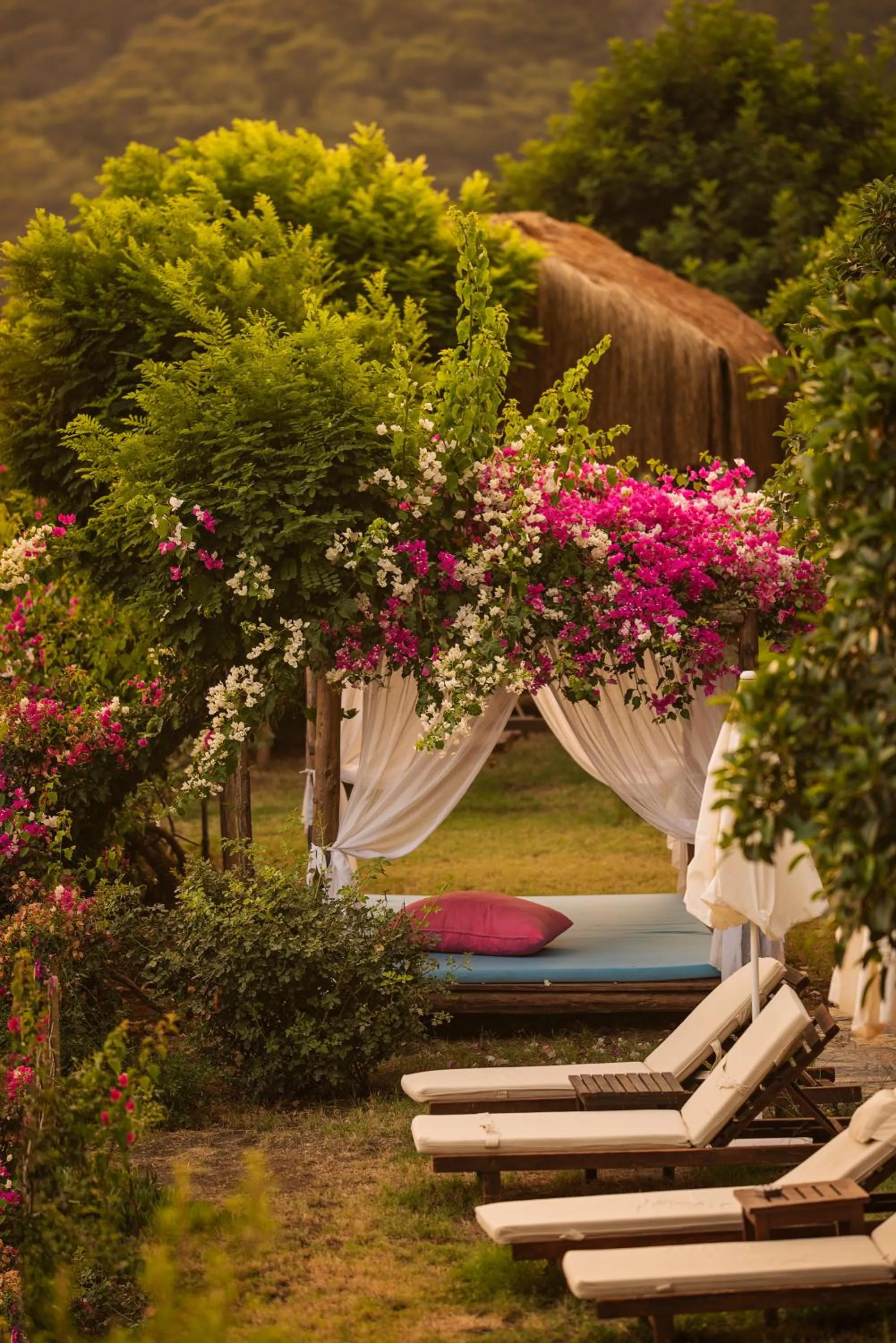 Garden in Lissiya Hotel