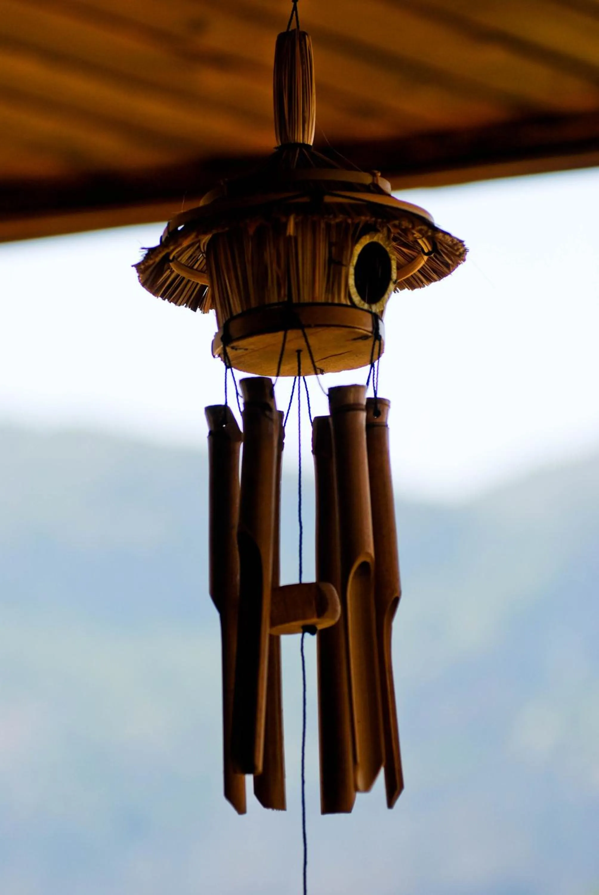 Garden in Lissiya Hotel