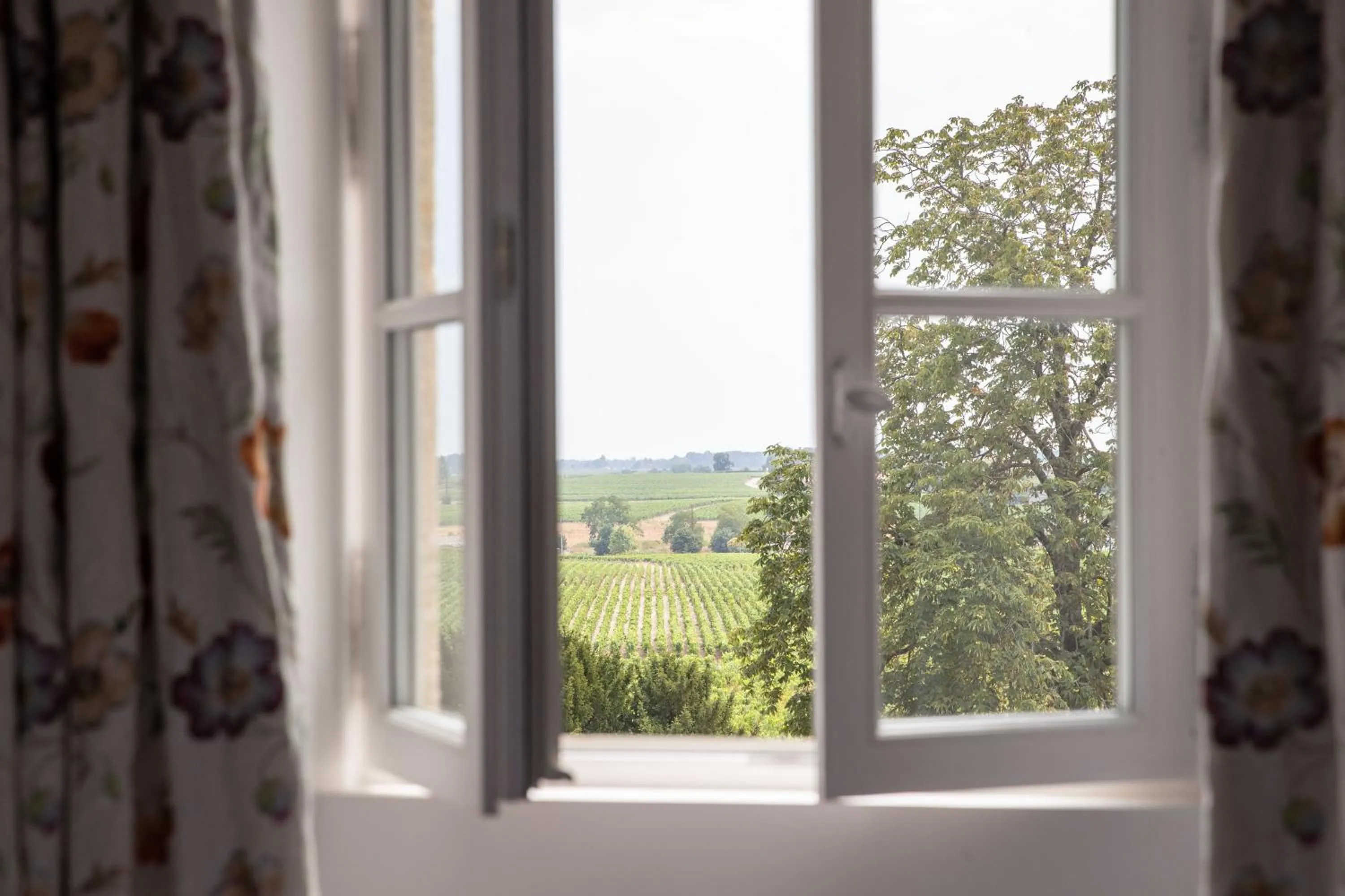 Nearby landmark in La Maison d'Estournel