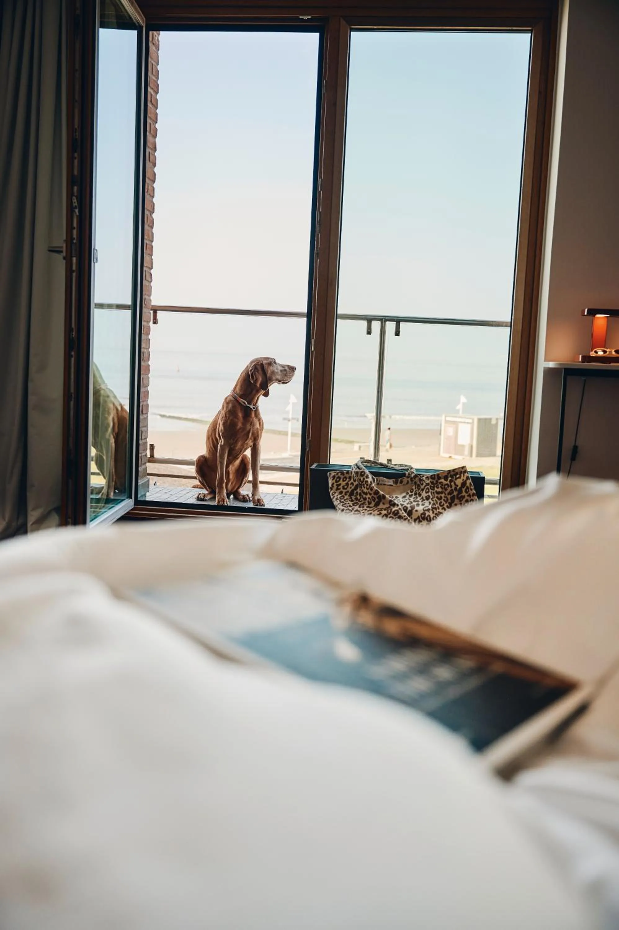 Photo of the whole room, Bed in Hotel Haus am Meer