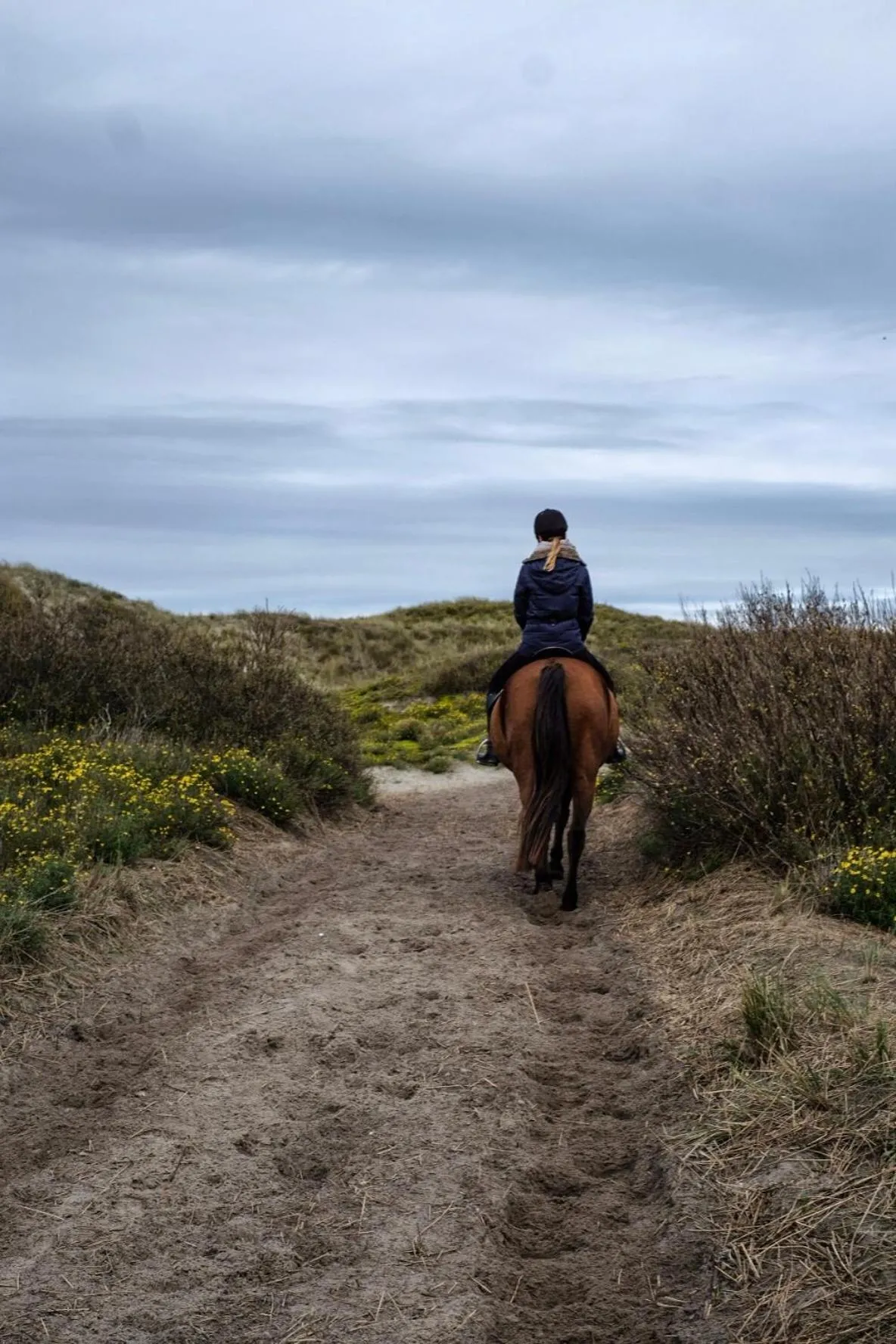 Horse-riding in Hotel Haus am Meer