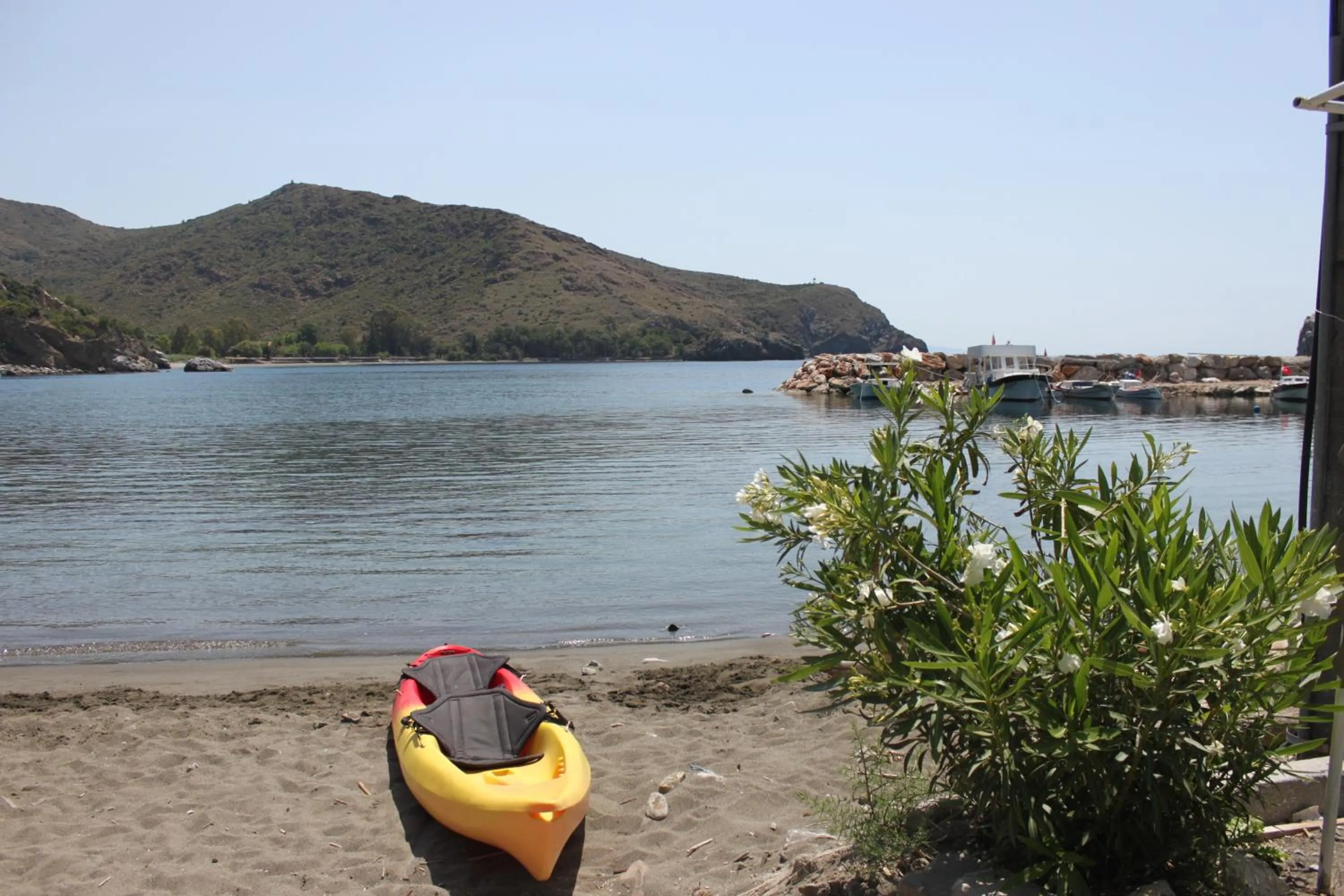 Natural landscape in Elly's Home