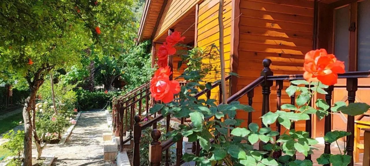 Garden view in Elly's Home