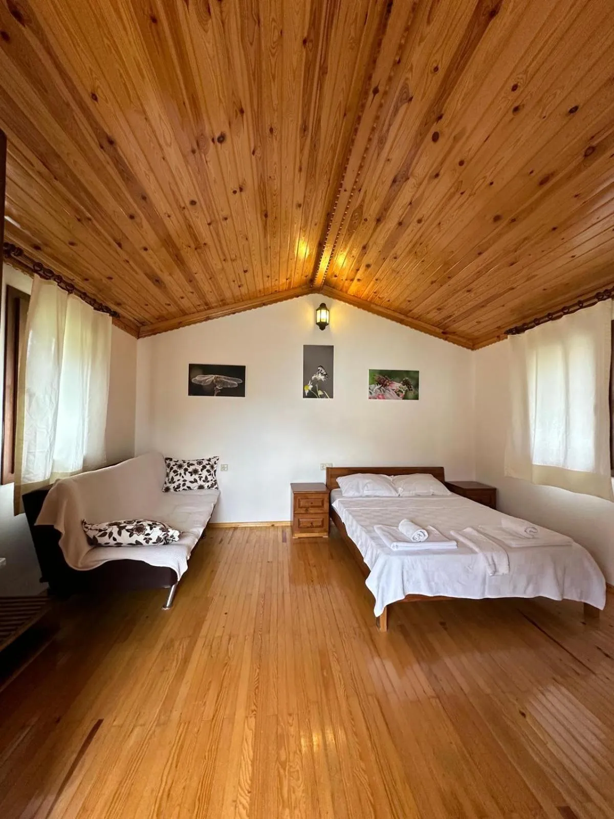 Photo of the whole room in Elly's Home