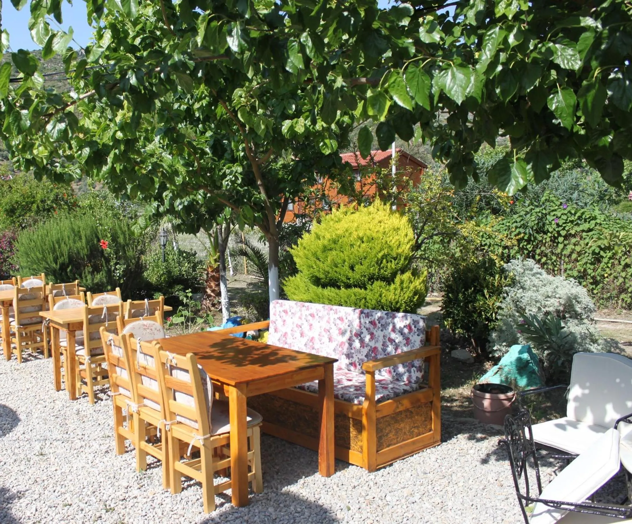 Food and drinks in Elly's Home