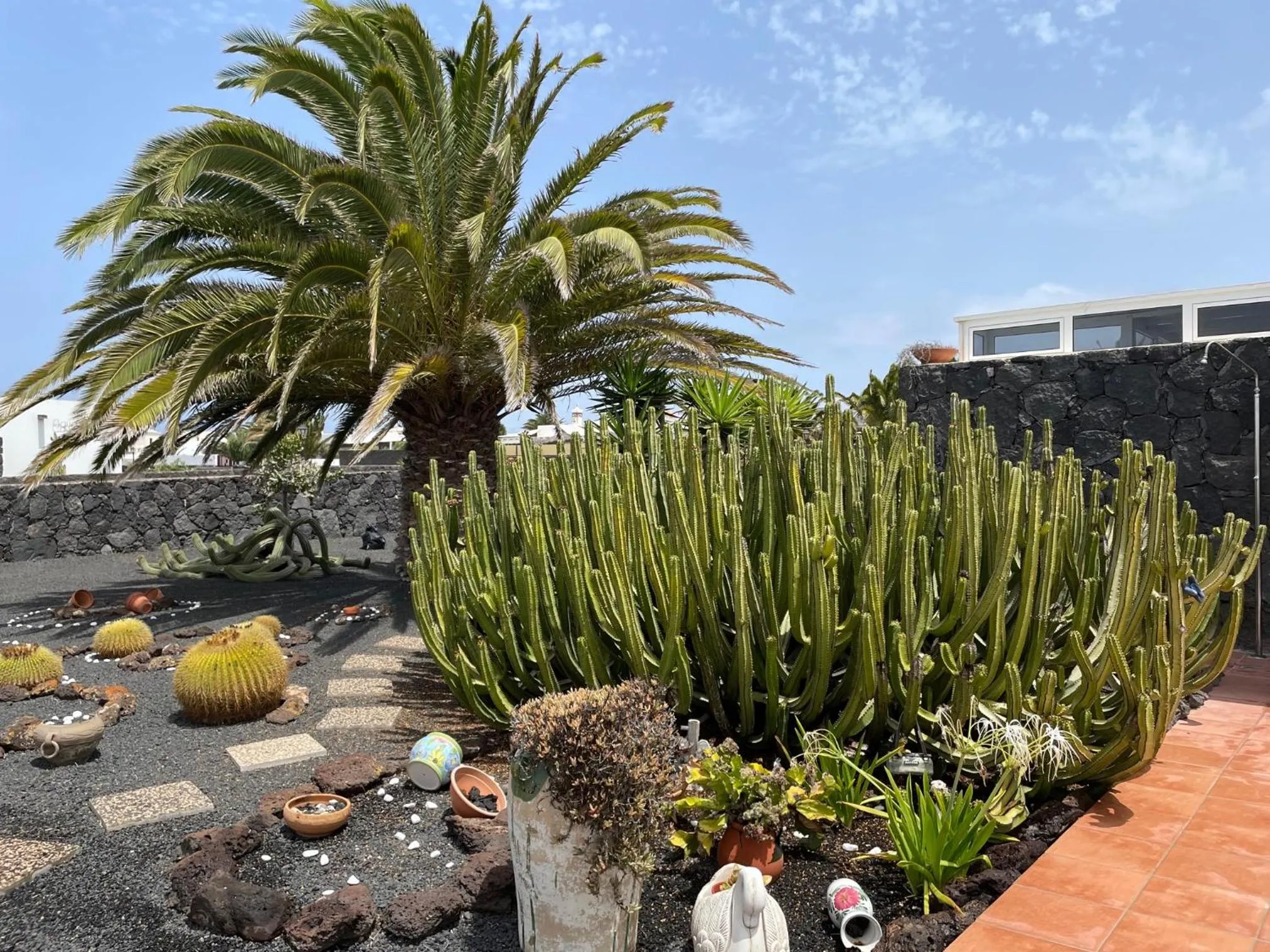 Garden in Villa Burgao
