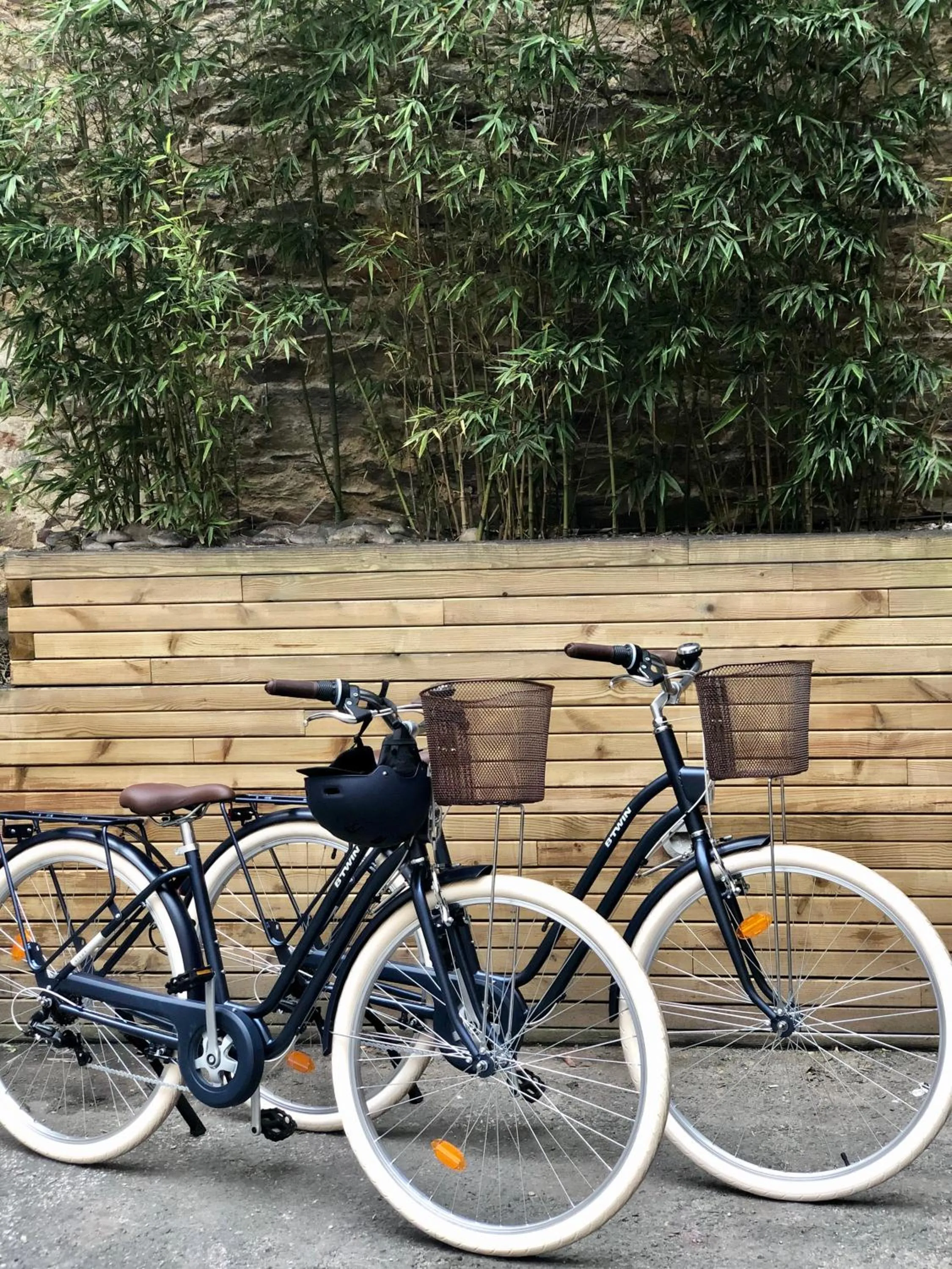 Activities in Mercure Rennes Centre Place Bretagne