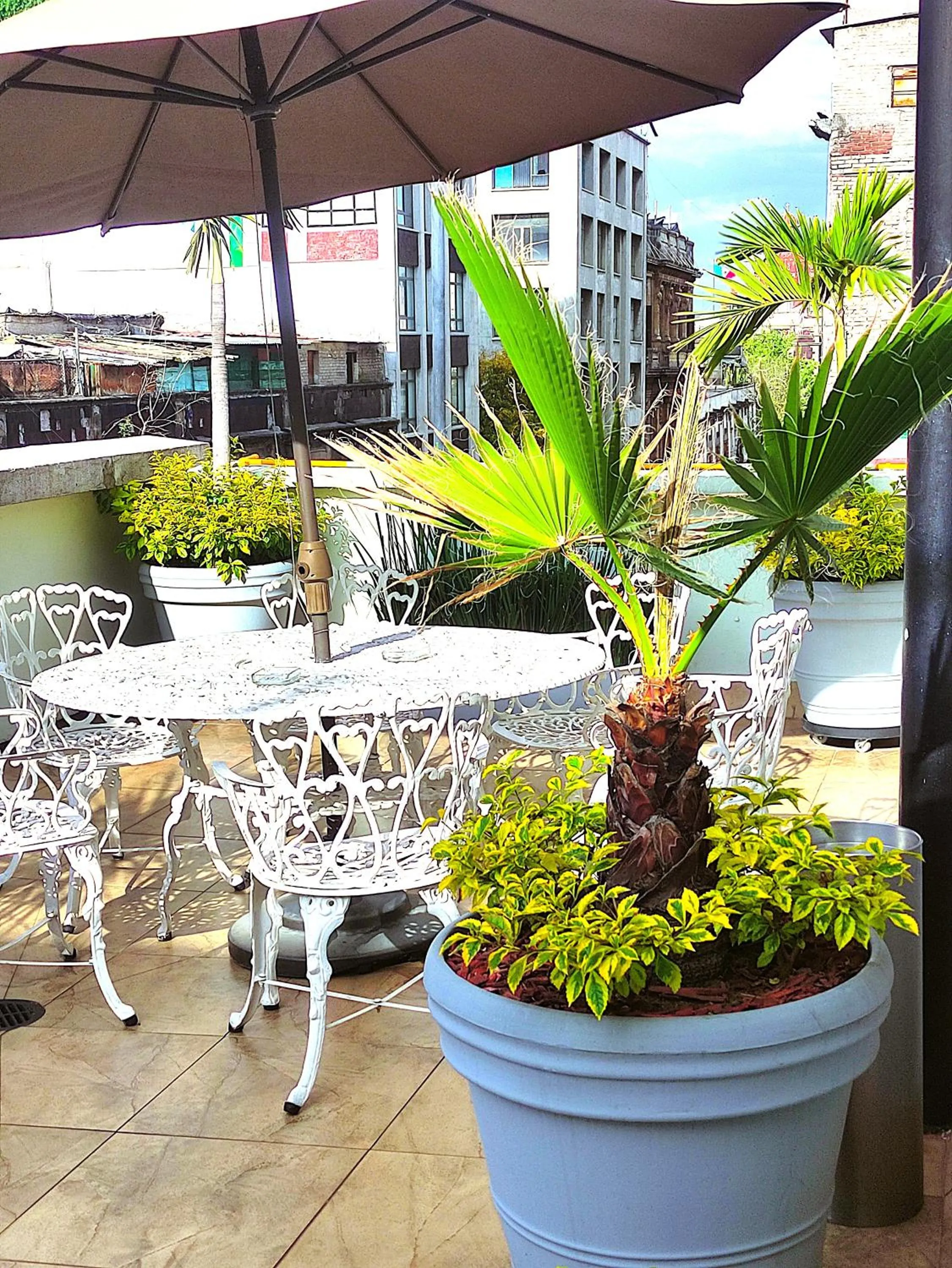 Balcony/Terrace in Hotel Habana
