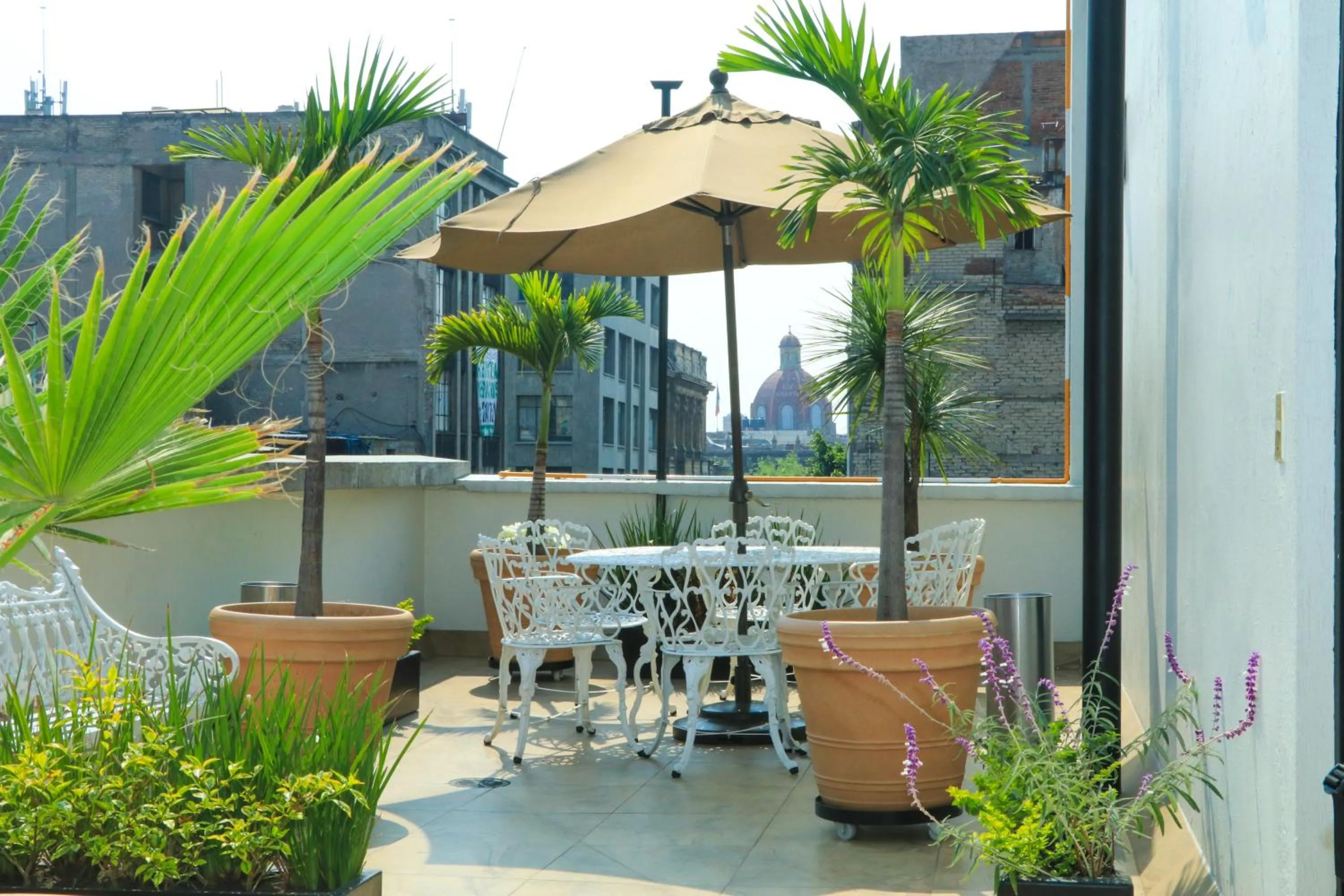 Balcony/Terrace in Hotel Habana