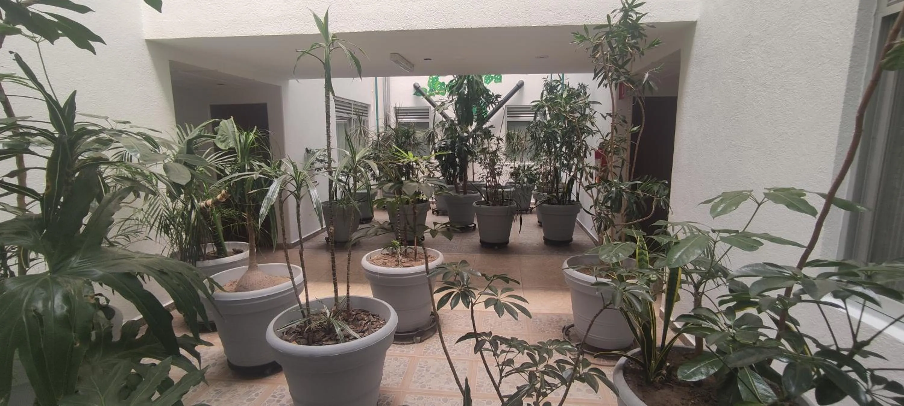 Property building in Hotel Habana