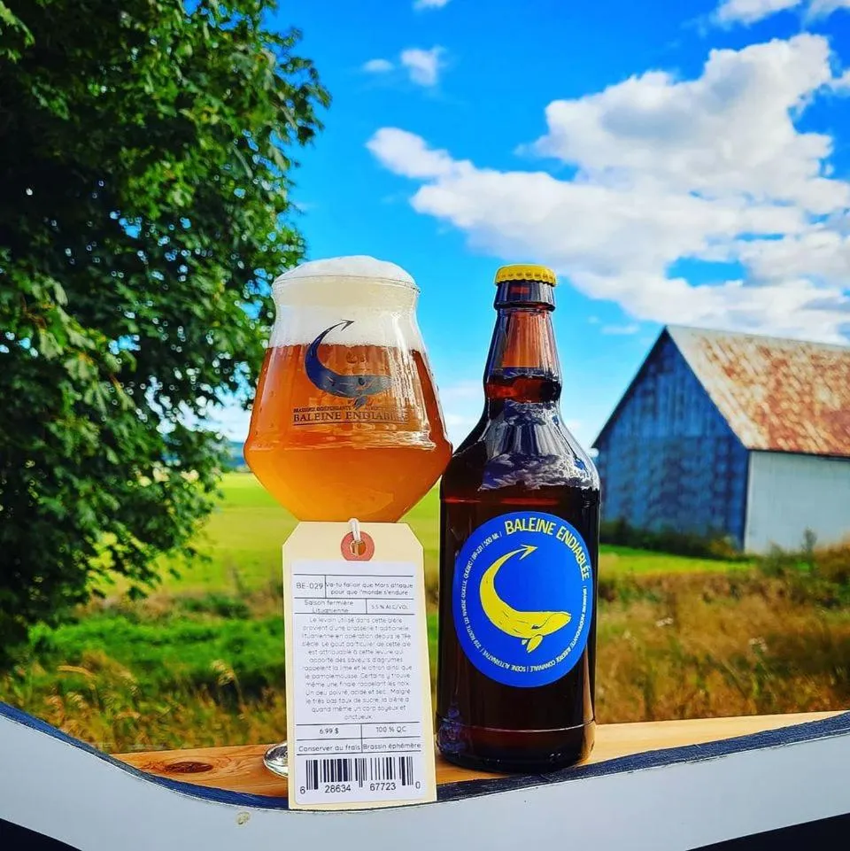 La Baleine Endiablée Microbrasserie