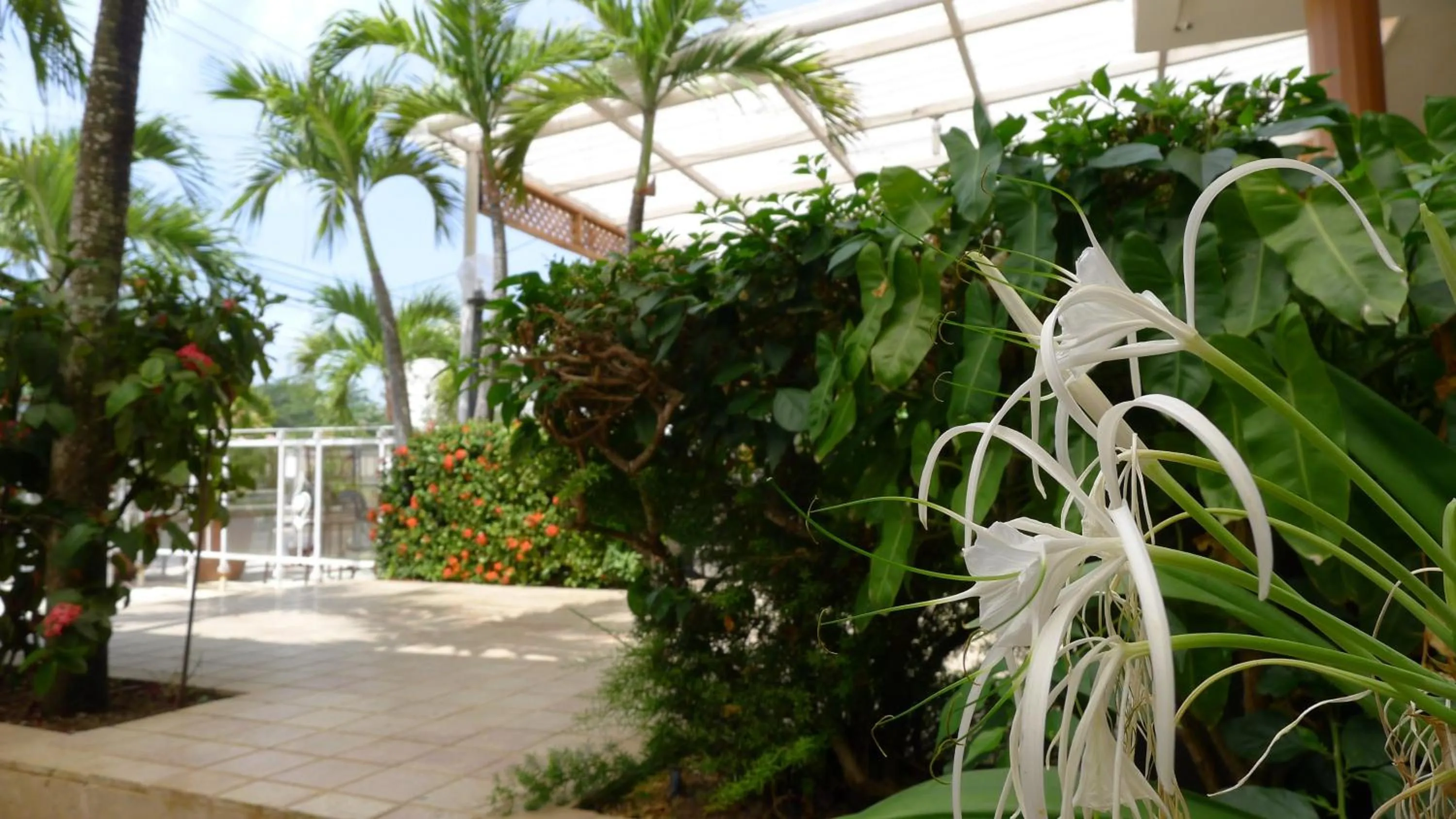 Restaurant/places to eat in Residence Meridiana