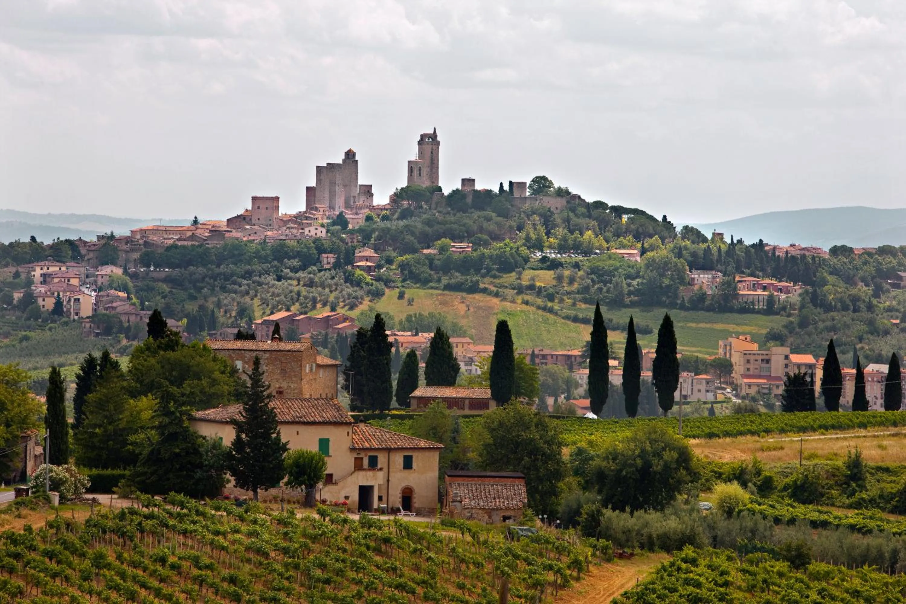 Tenuta delle Rose