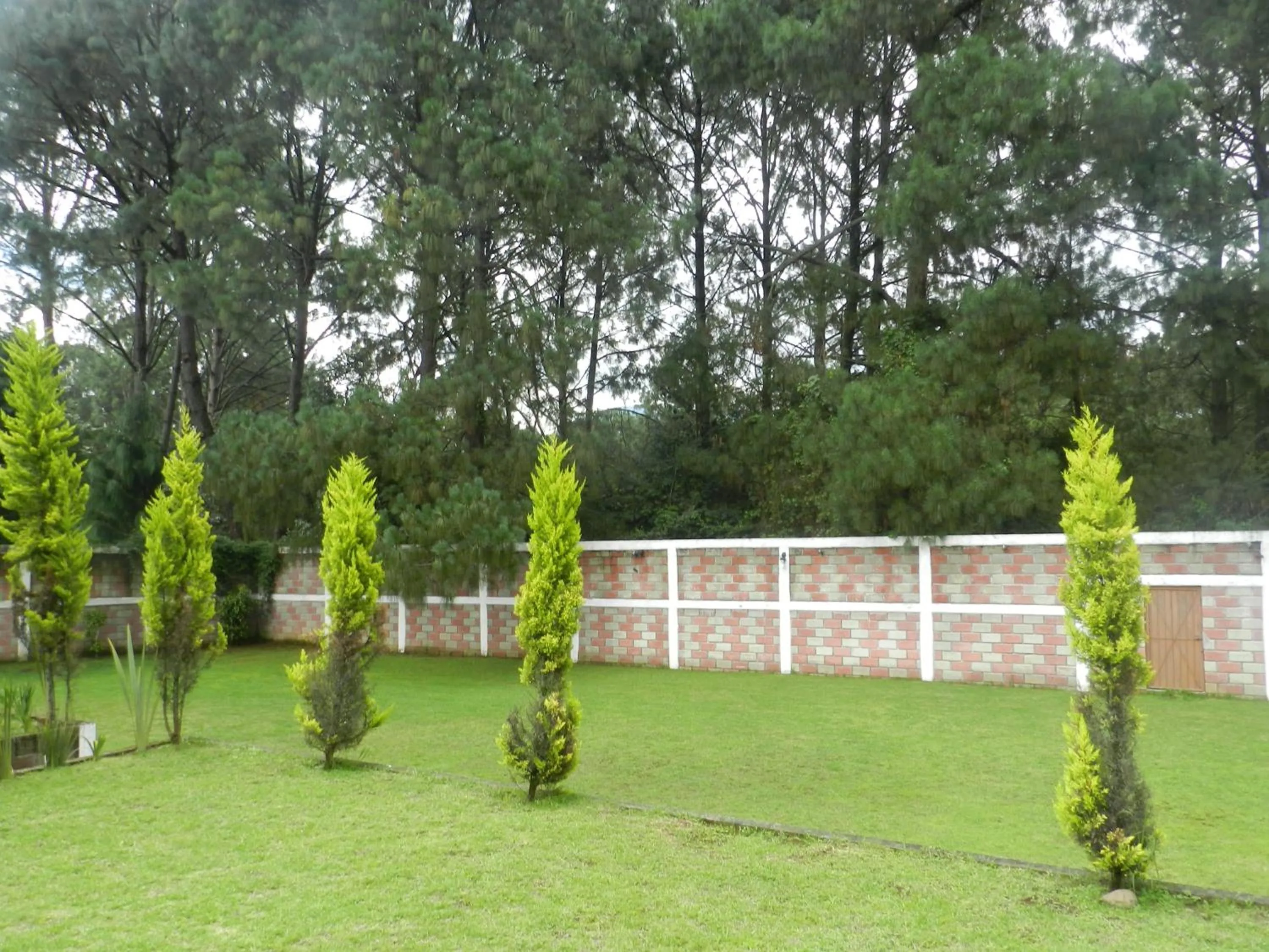 BBQ facilities in Hotel Finca los Girasoles