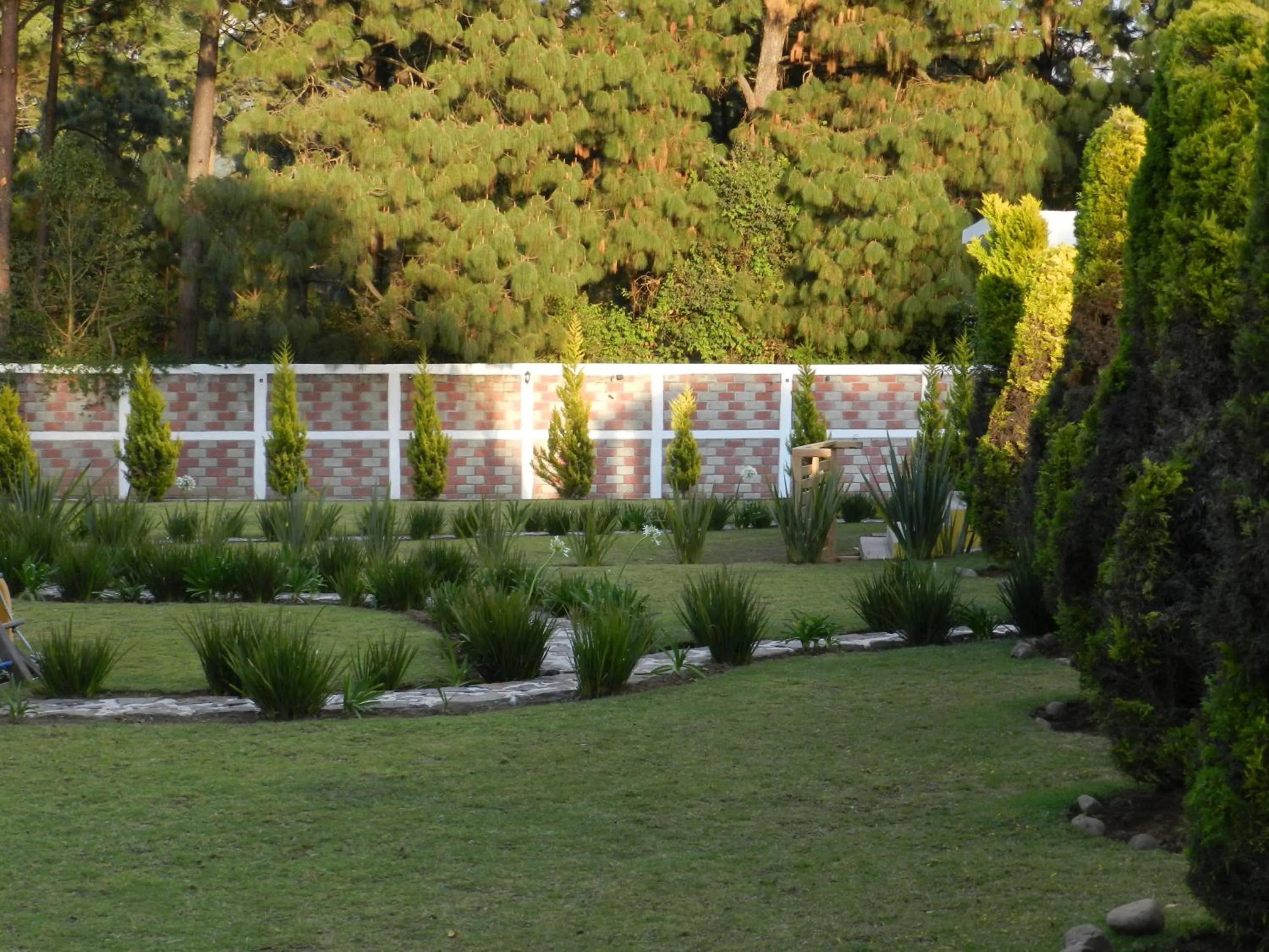 Natural landscape in Hotel Finca los Girasoles