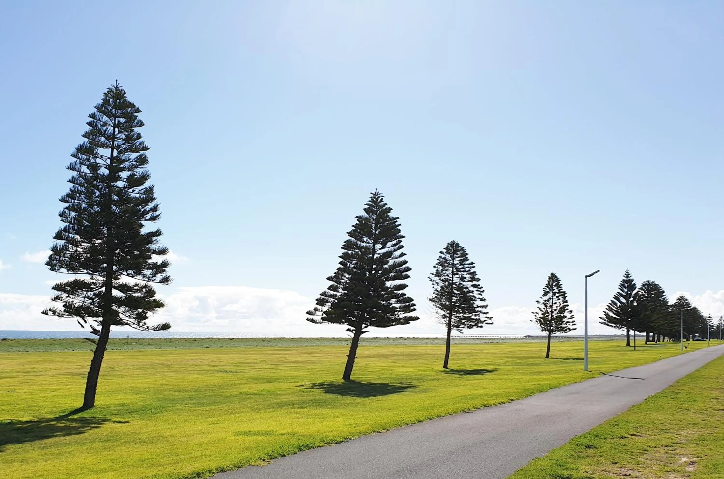 Activities in Lacepede Bay Motel