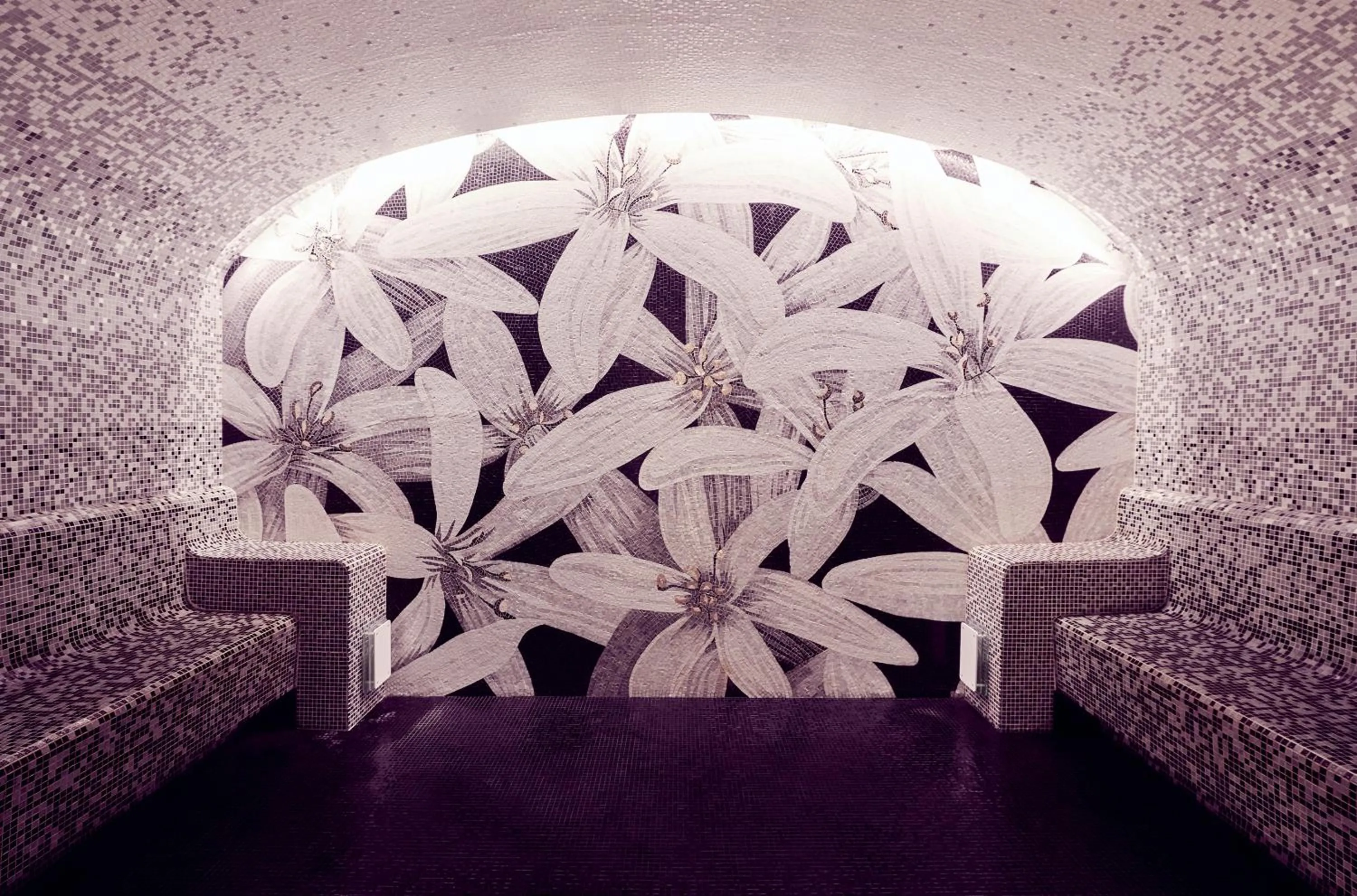 Spa and wellness centre/facilities in Grand Hôtel Du Palais Royal