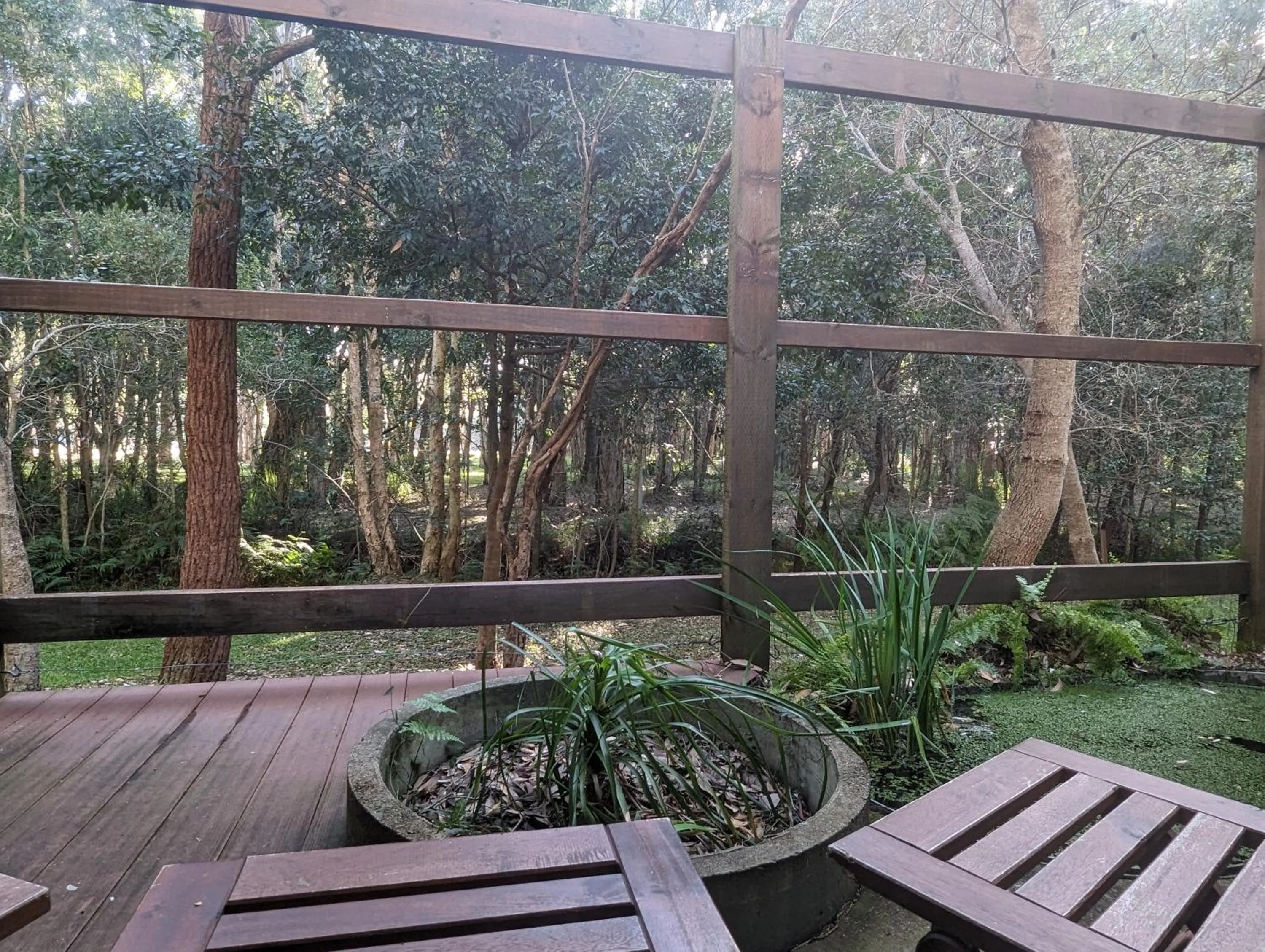 Garden in The Oasis at One Mile Beach