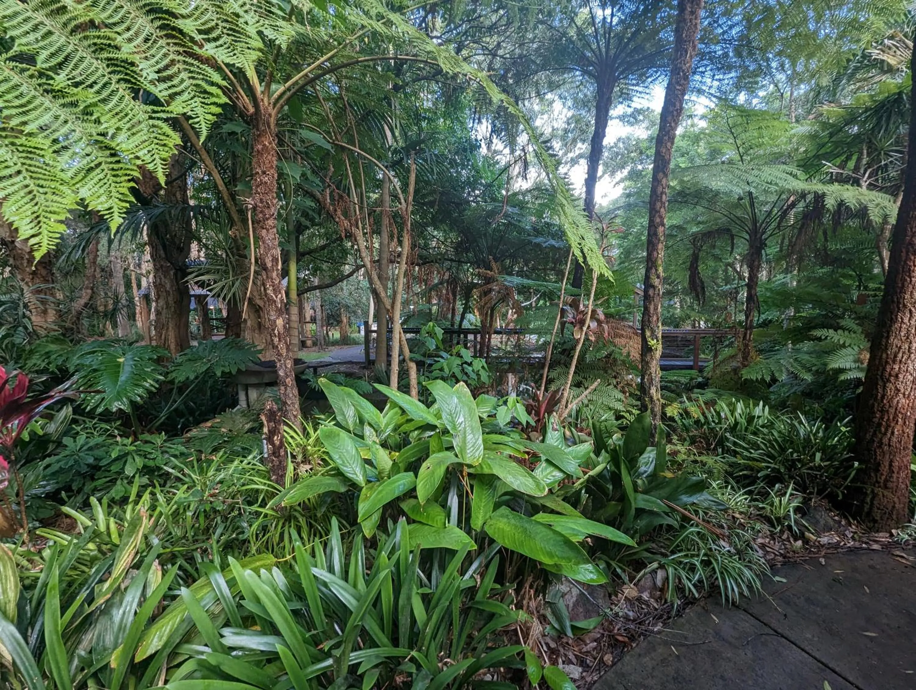 Garden in The Oasis at One Mile Beach