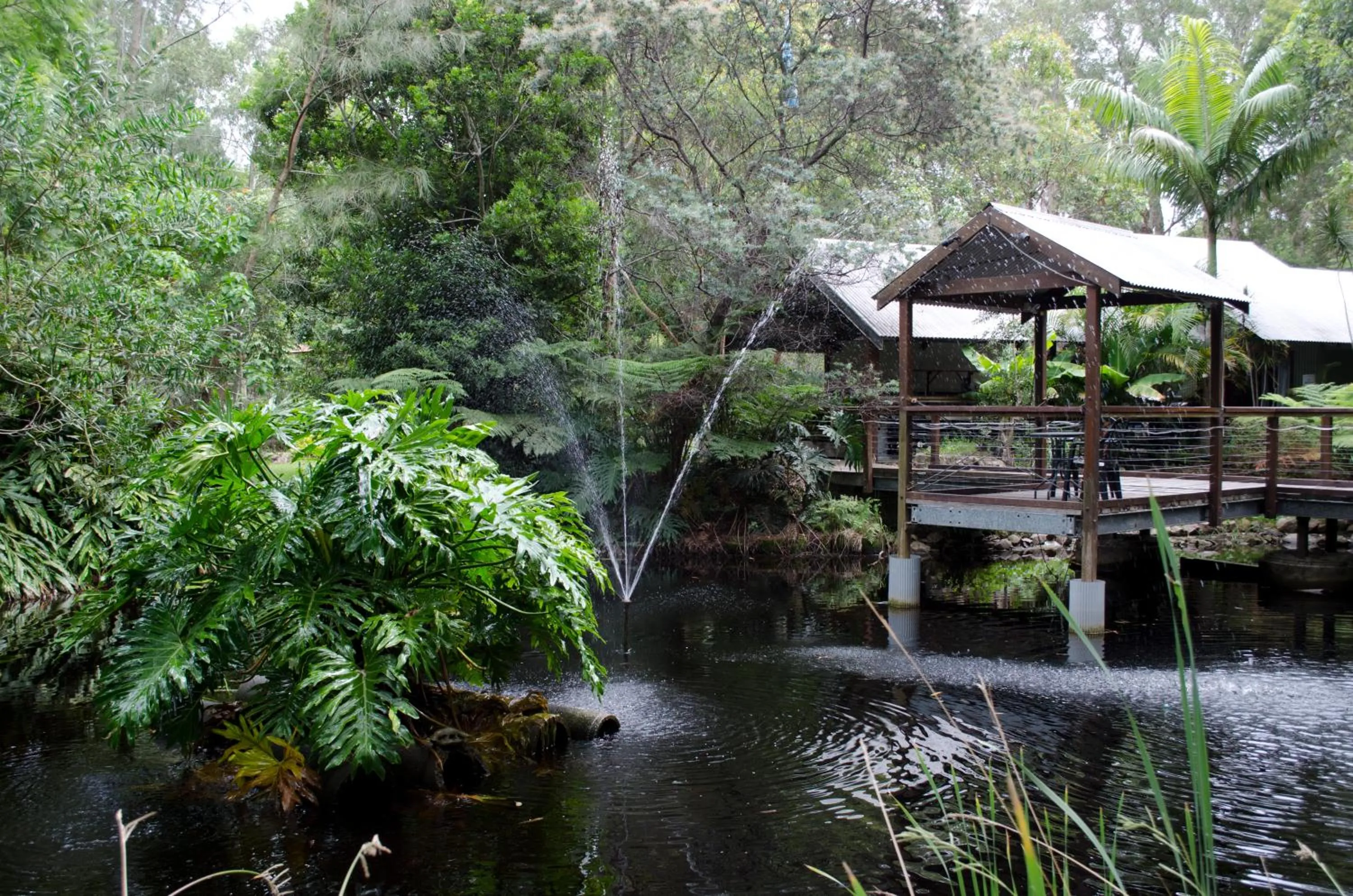 Garden in The Oasis at One Mile Beach