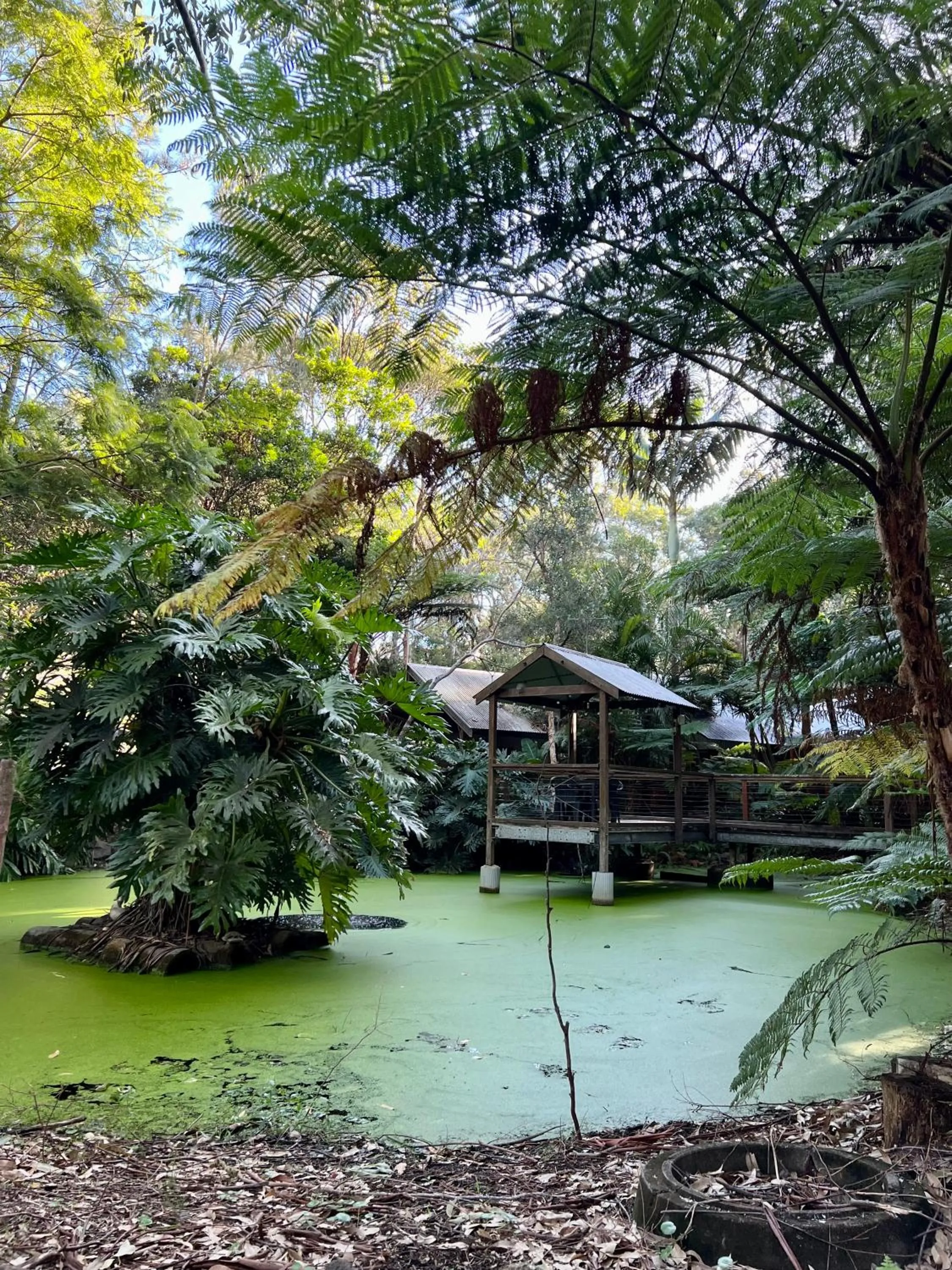 Garden in The Oasis at One Mile Beach