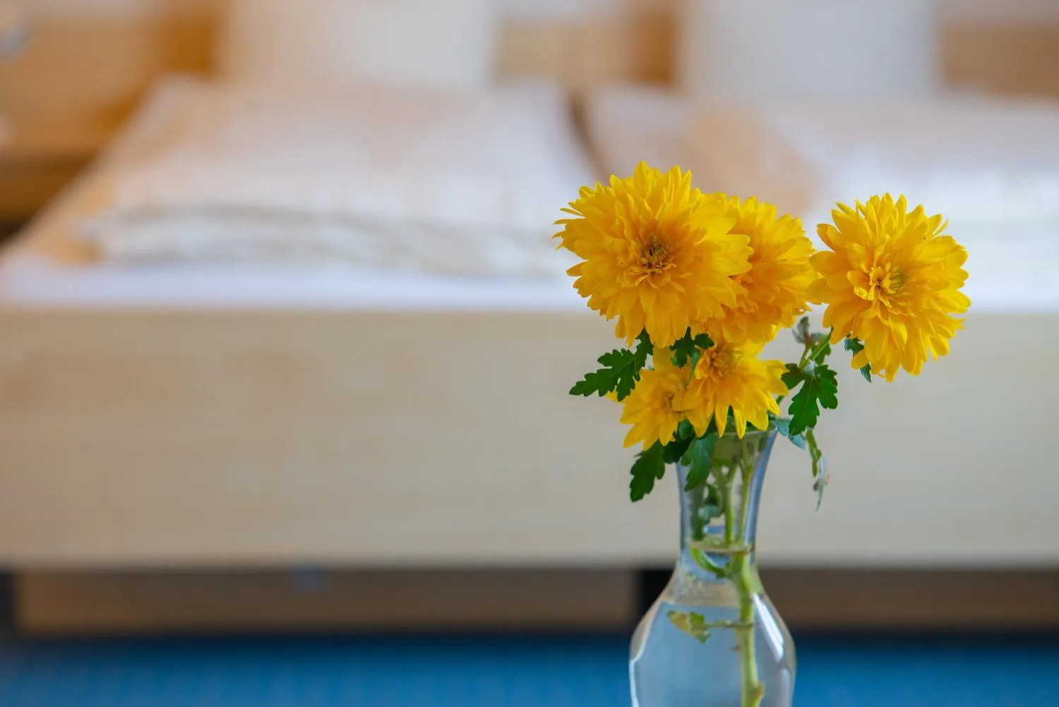 Christliche Gästehäuser Weinstraße