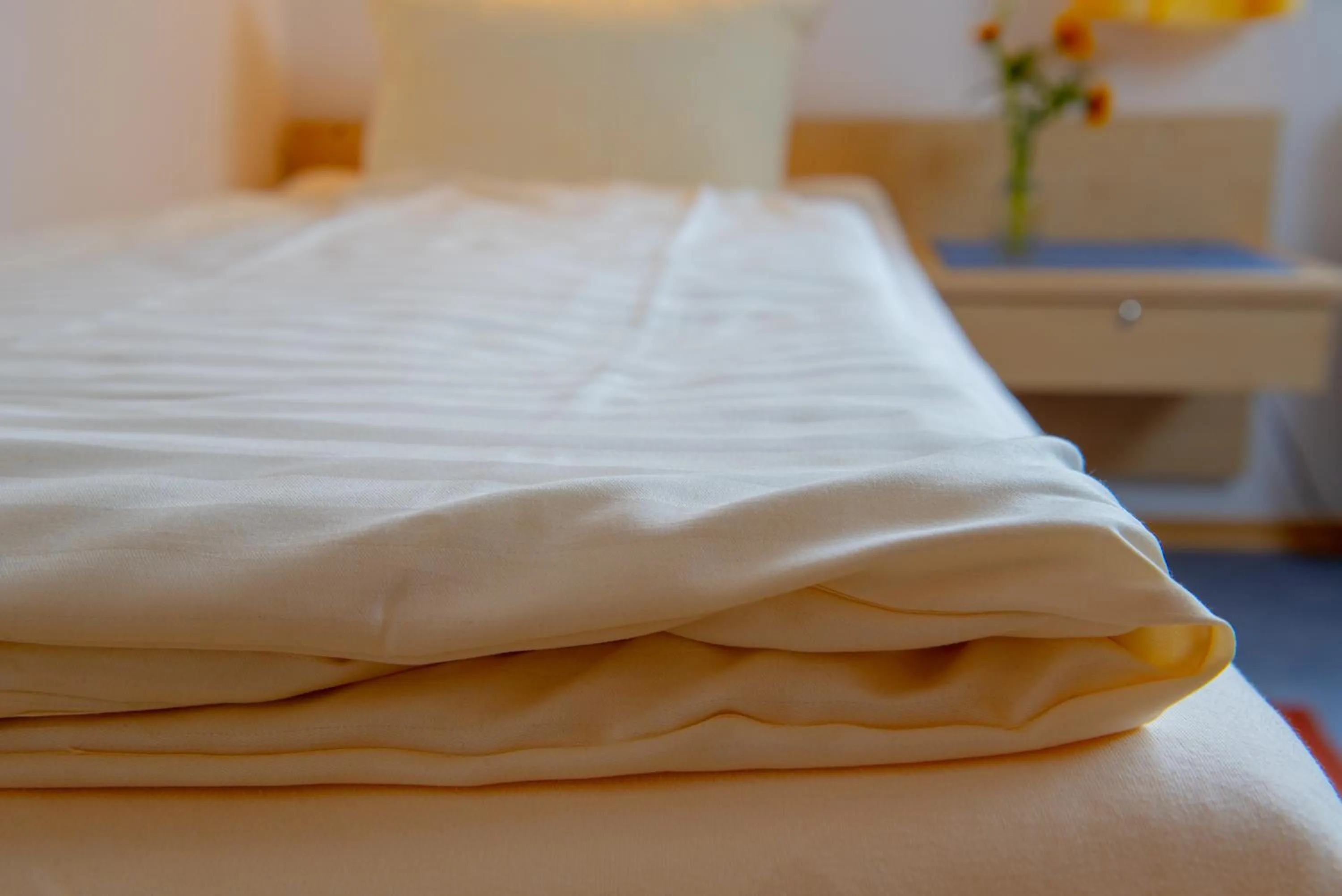 Christliche Gästehäuser Weinstraße