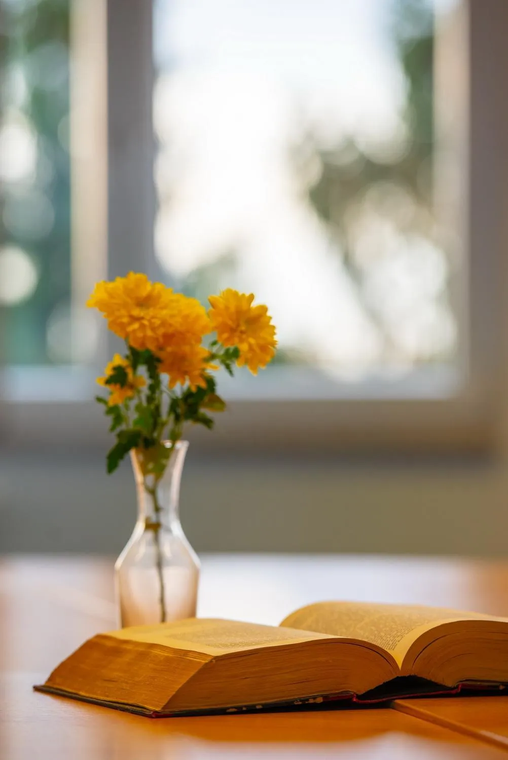 Christliche Gästehäuser Weinstraße