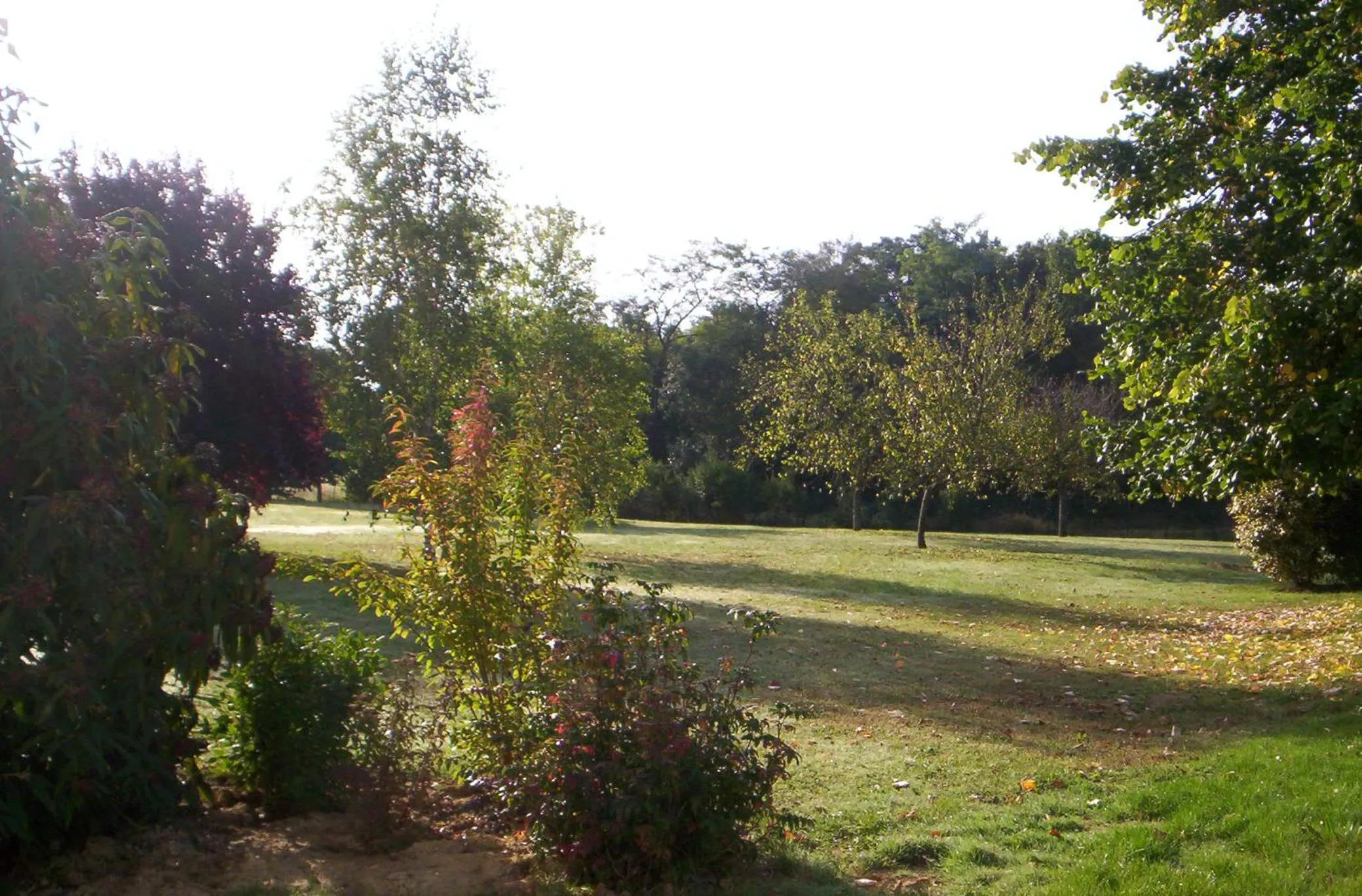 Garden in ibis Amboise