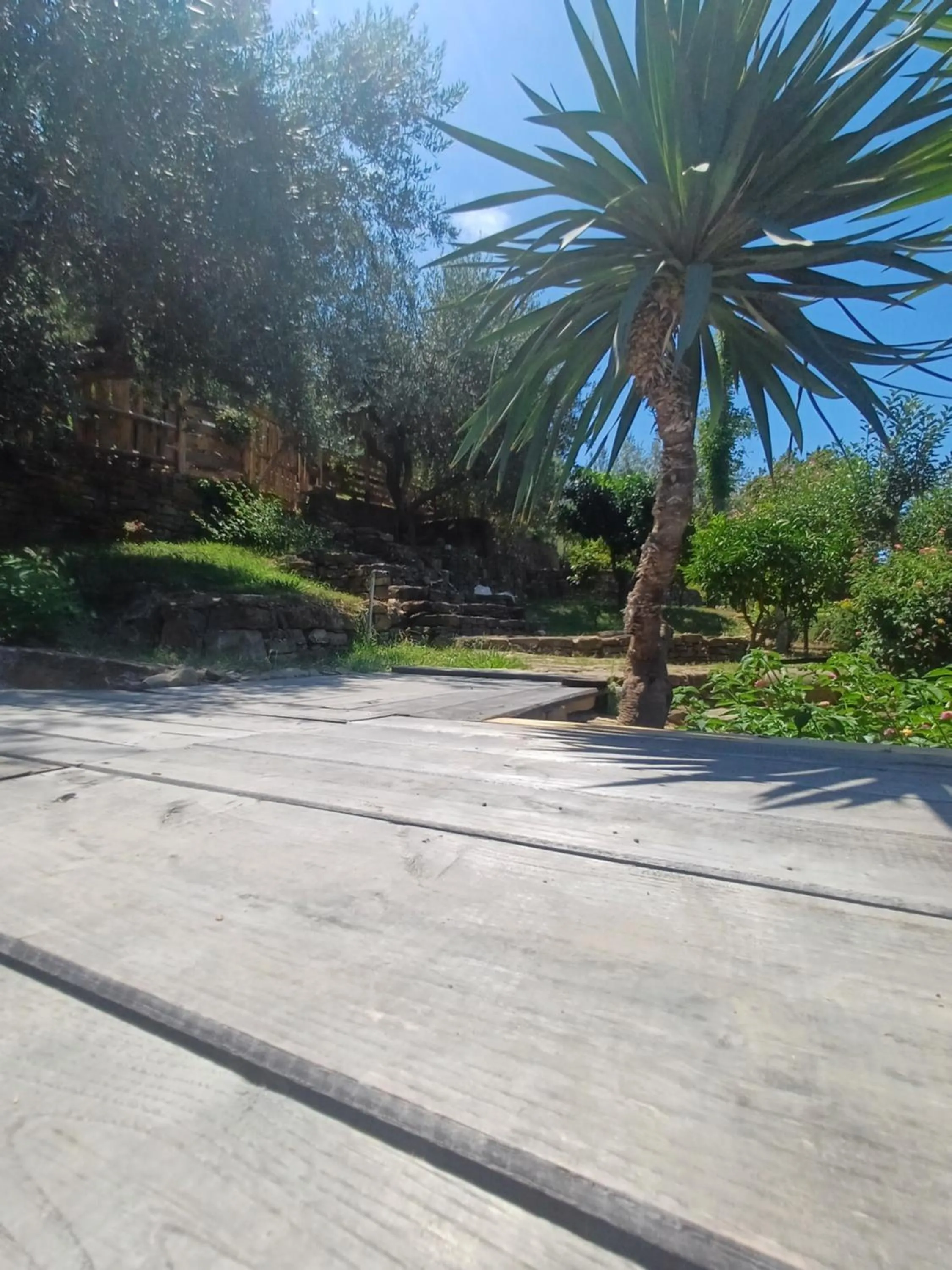 Garden in Dimora Acqua del Fico